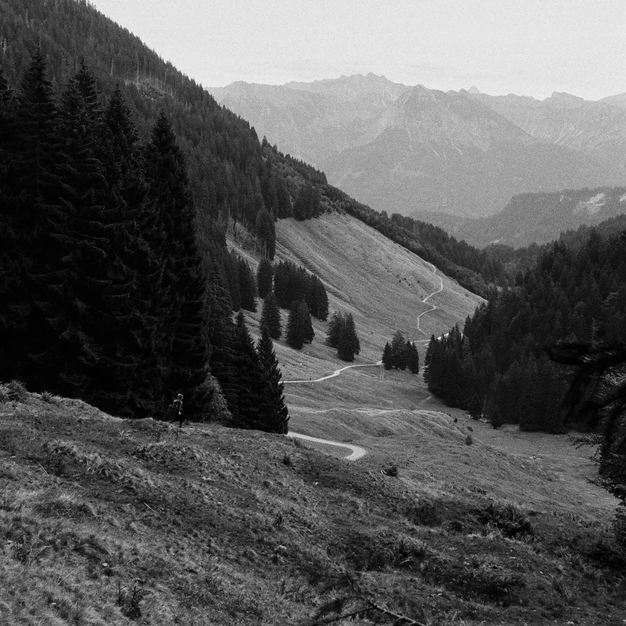 Nikon FE2 · Ilford HP5 Plus