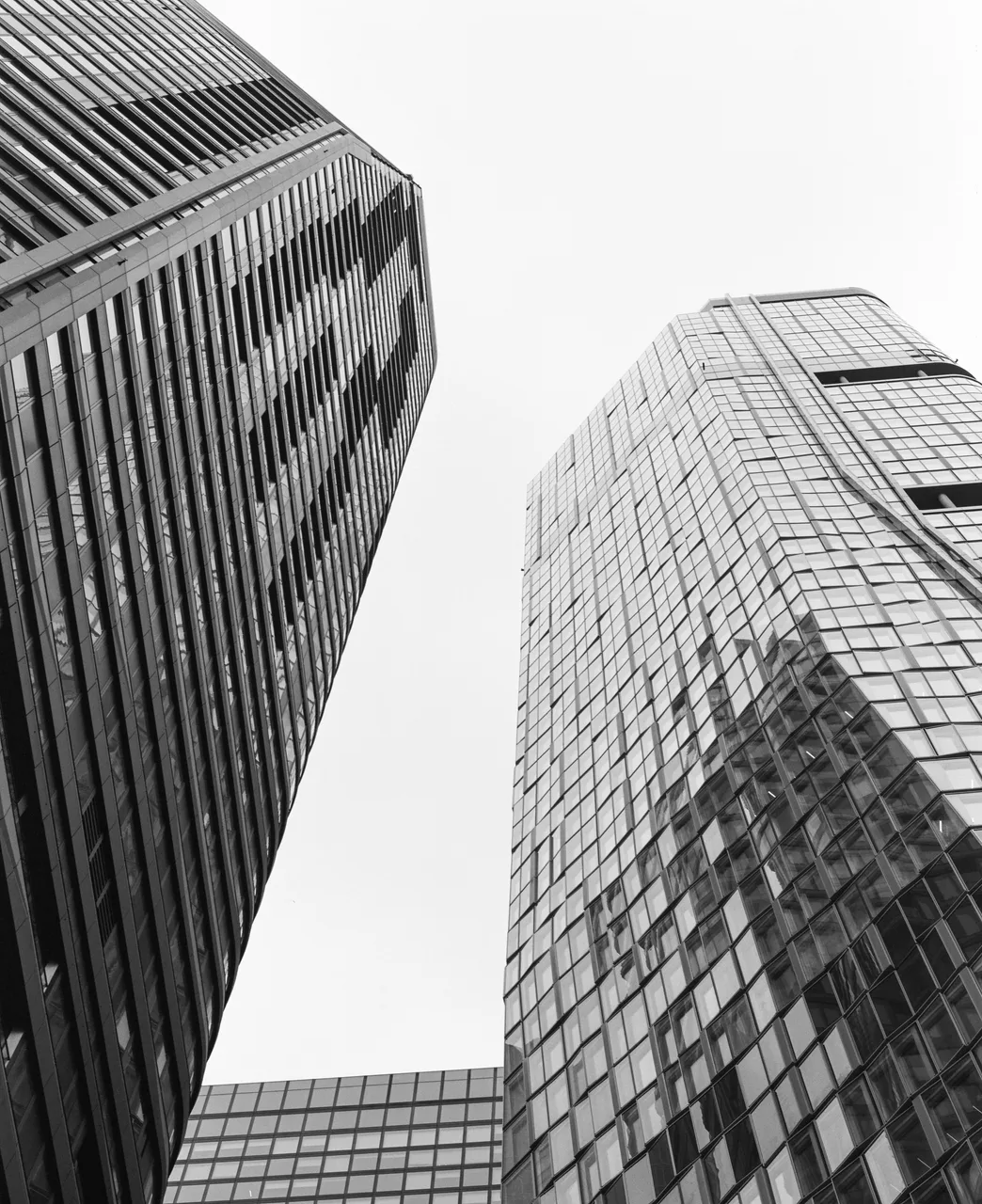 grainandgrid.studio