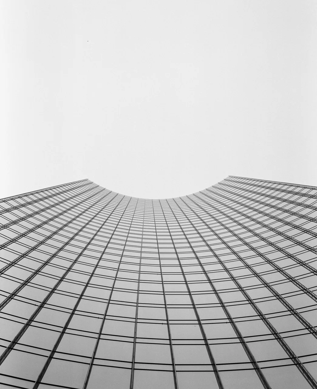 grainandgrid.studio