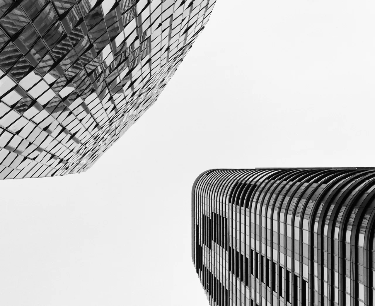 grainandgrid.studio