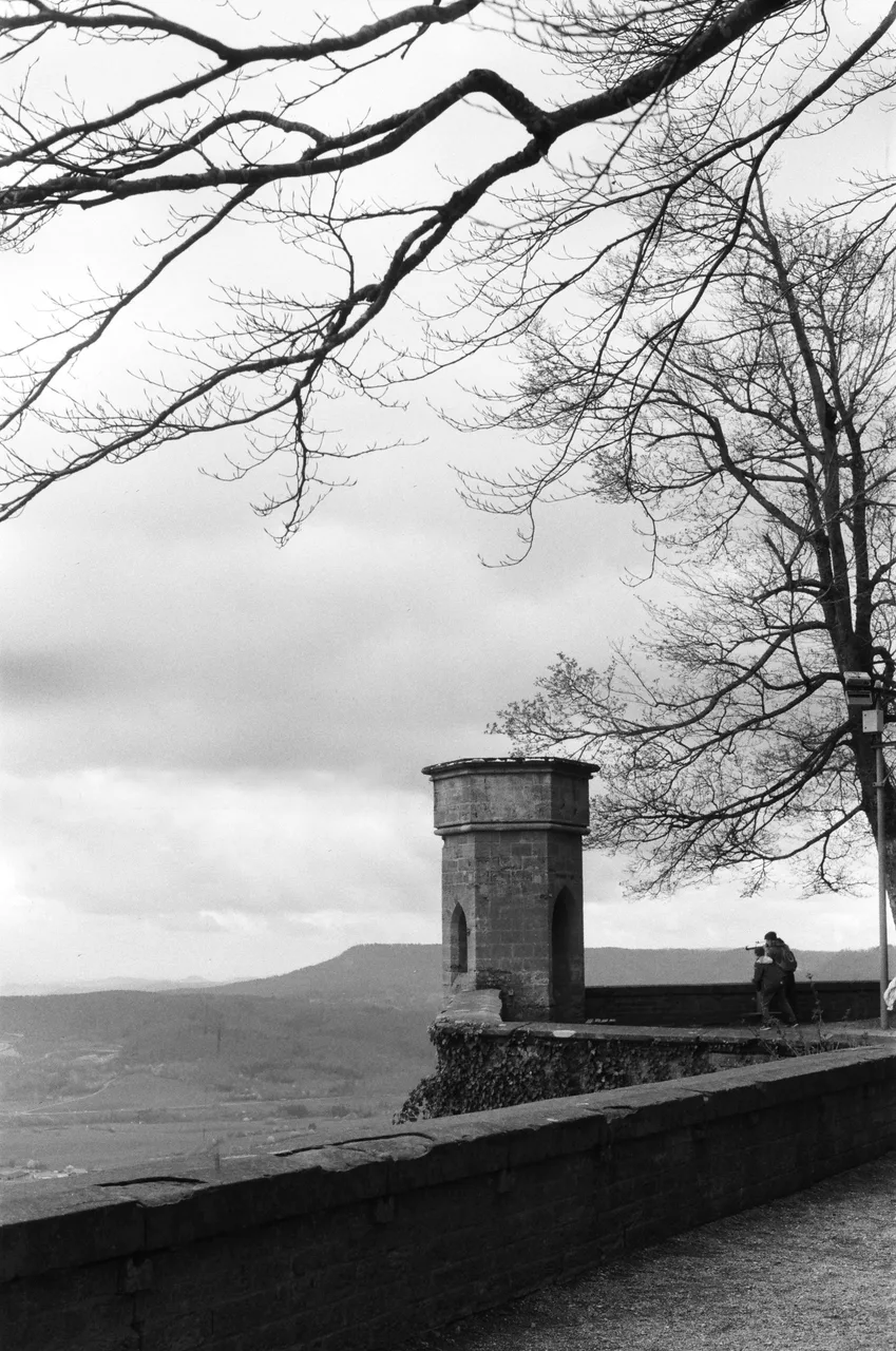 Ron on film