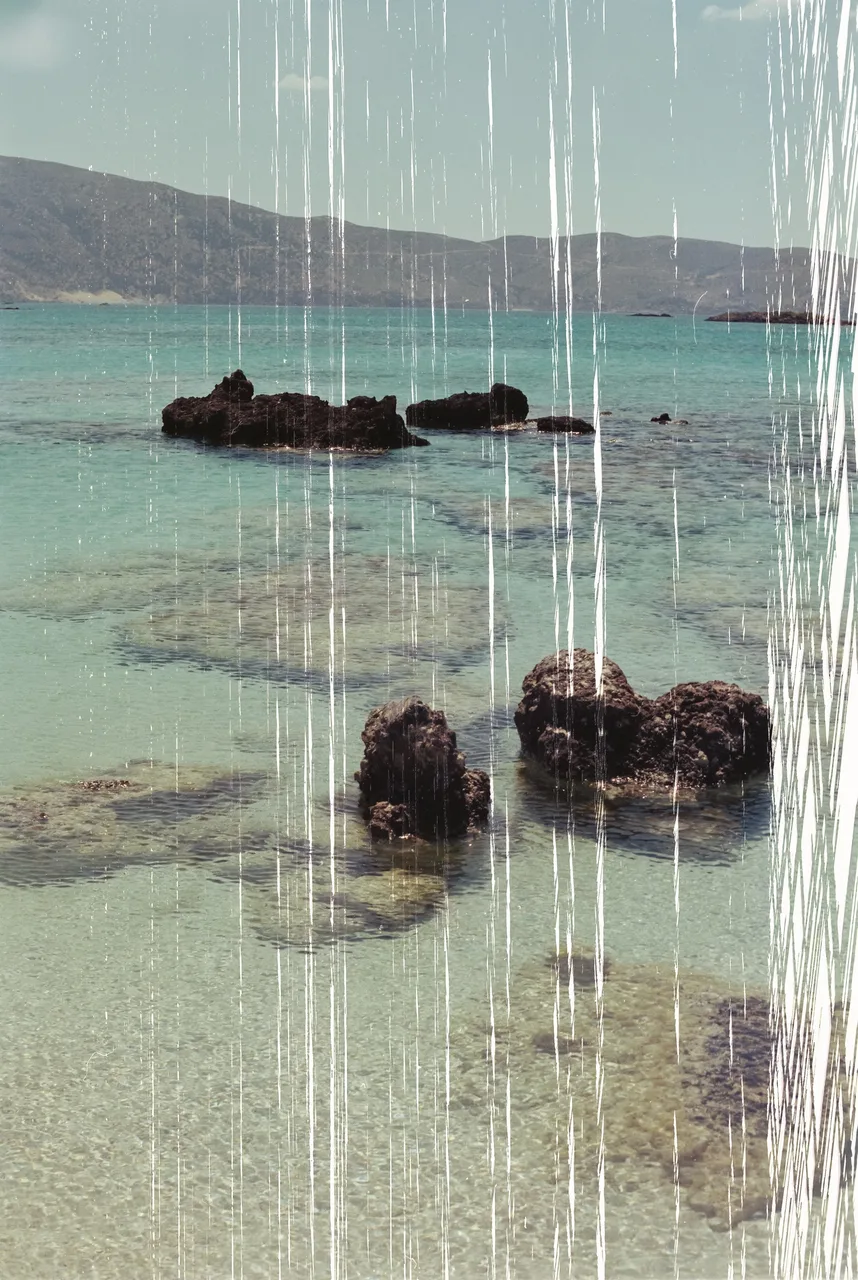 dala_analoguephoto