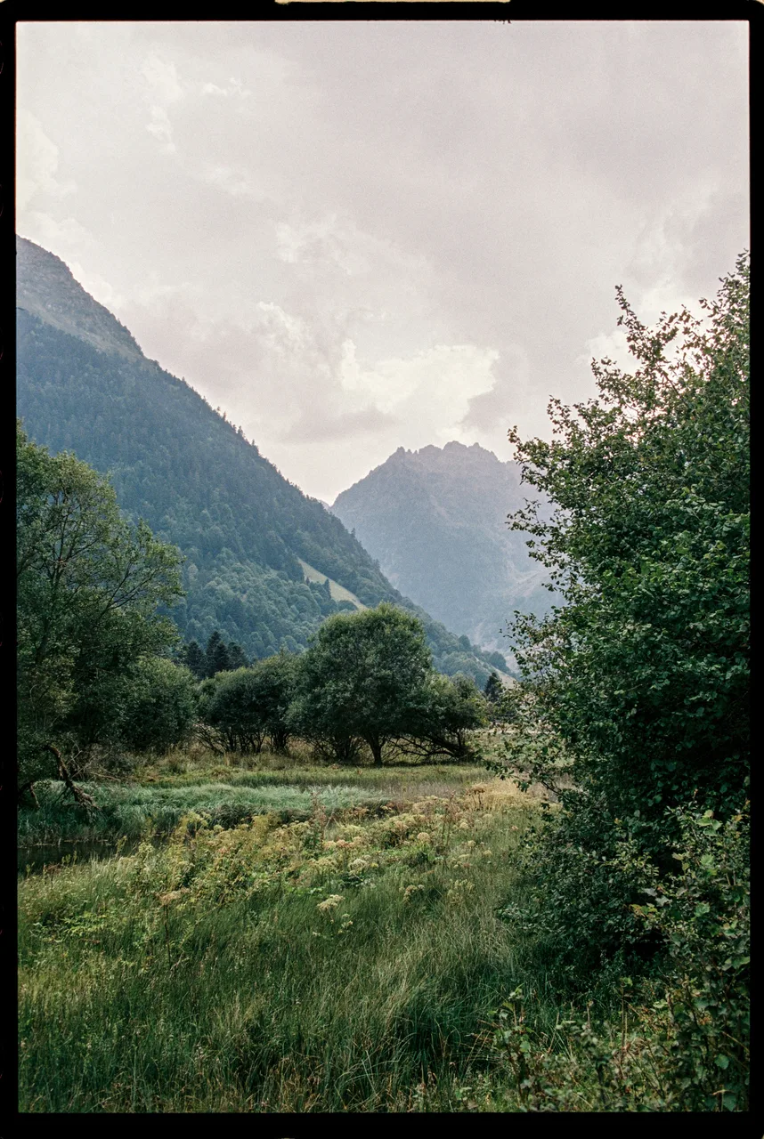 36frames_on35mm