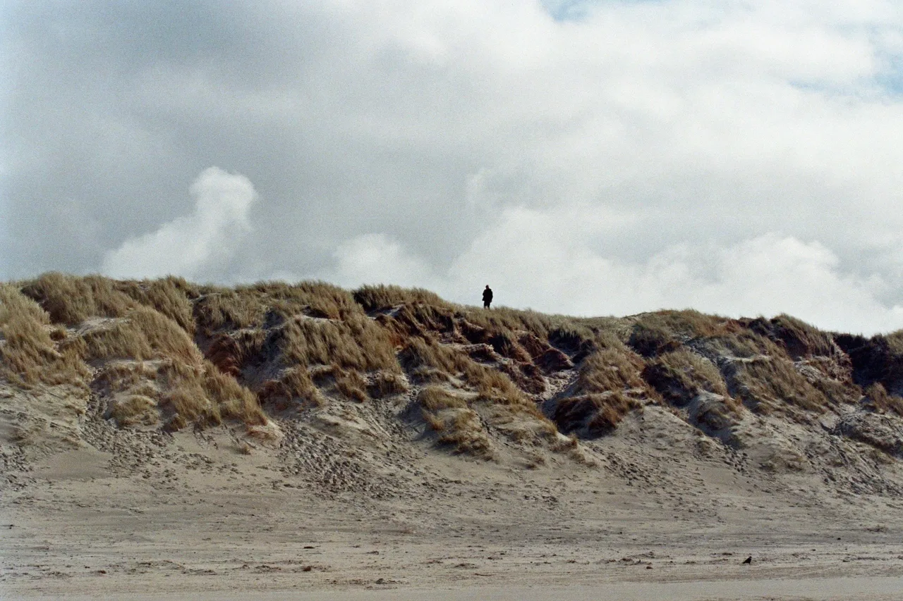 maja