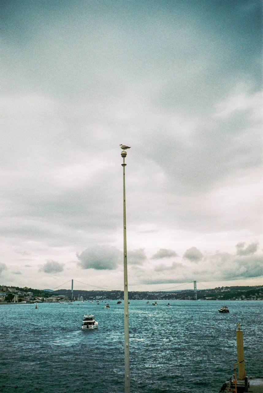 36frames_on35mm