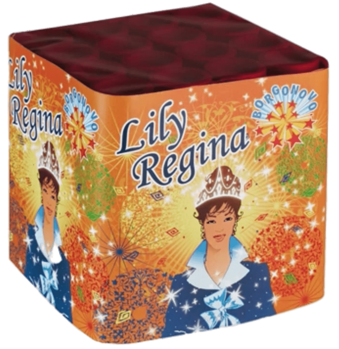 Lily regina