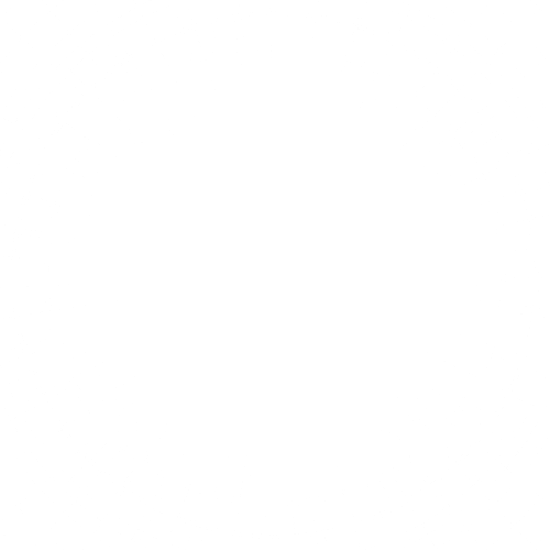 grid overlay