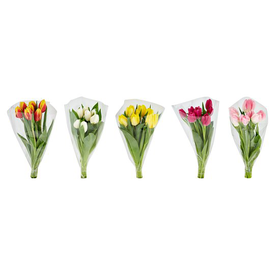 Tesco tulipán 7 szál 5 színben