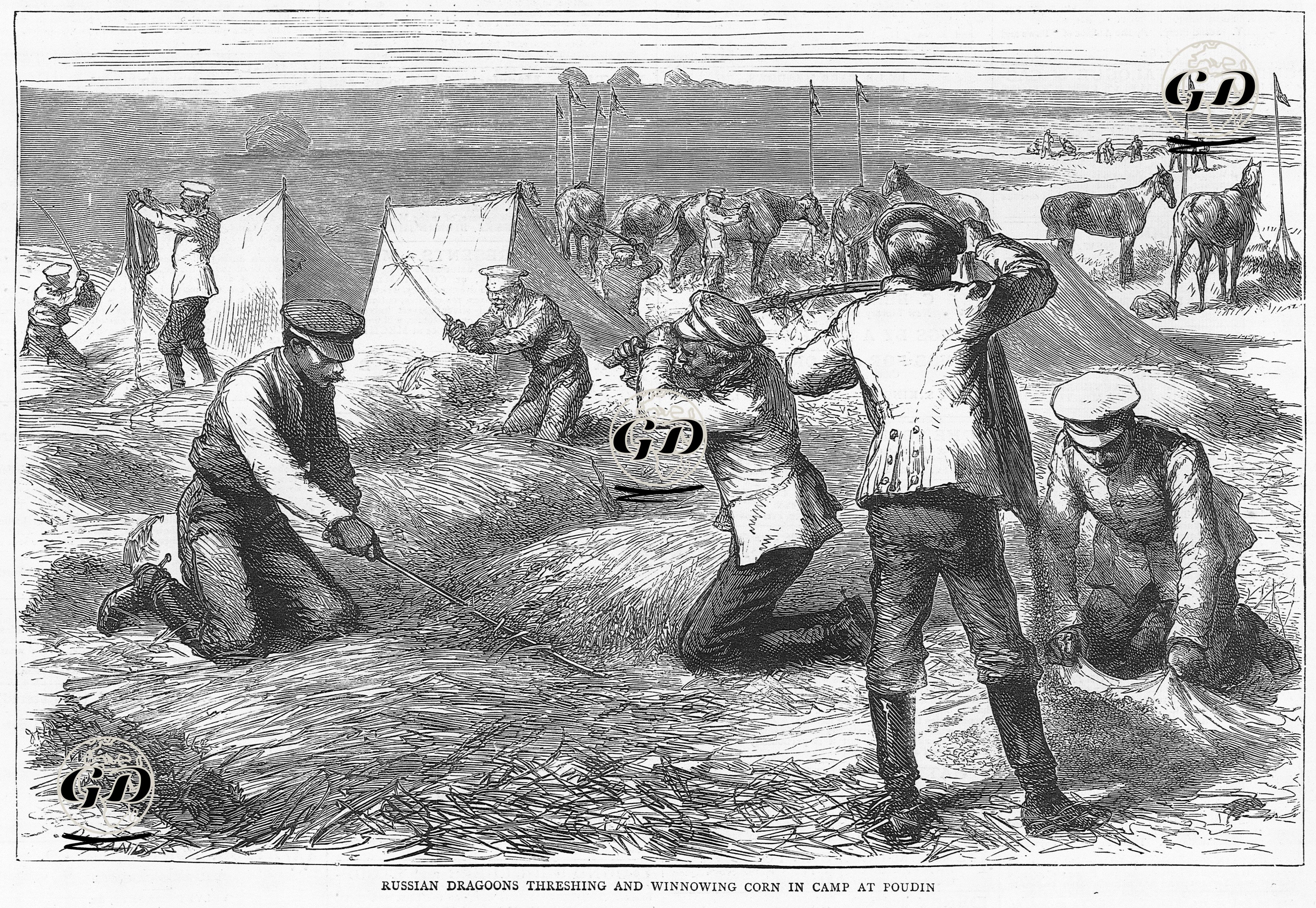 Russian Dragoons Threshing And Winnowing Corn İn A Camp At Poudin -  - 1877