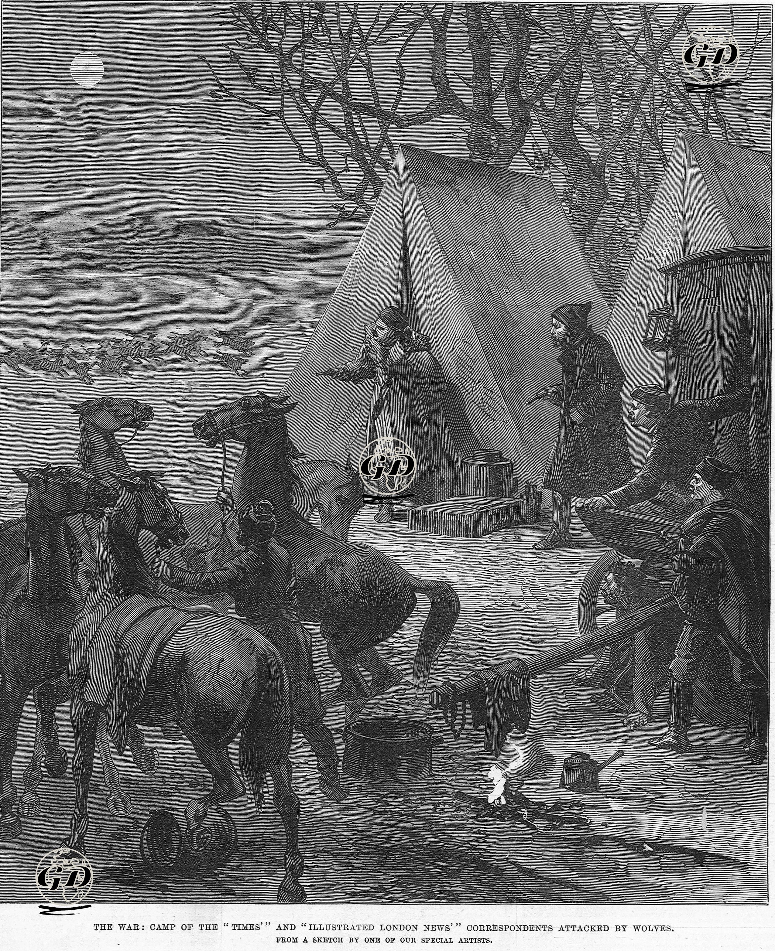 93 Harbi Sırasında "The Times" Ve "The İllustrated London News" Gazetelerinin Muhabirlerinin Kampına Kurtların Saldırısı  -  - 1877