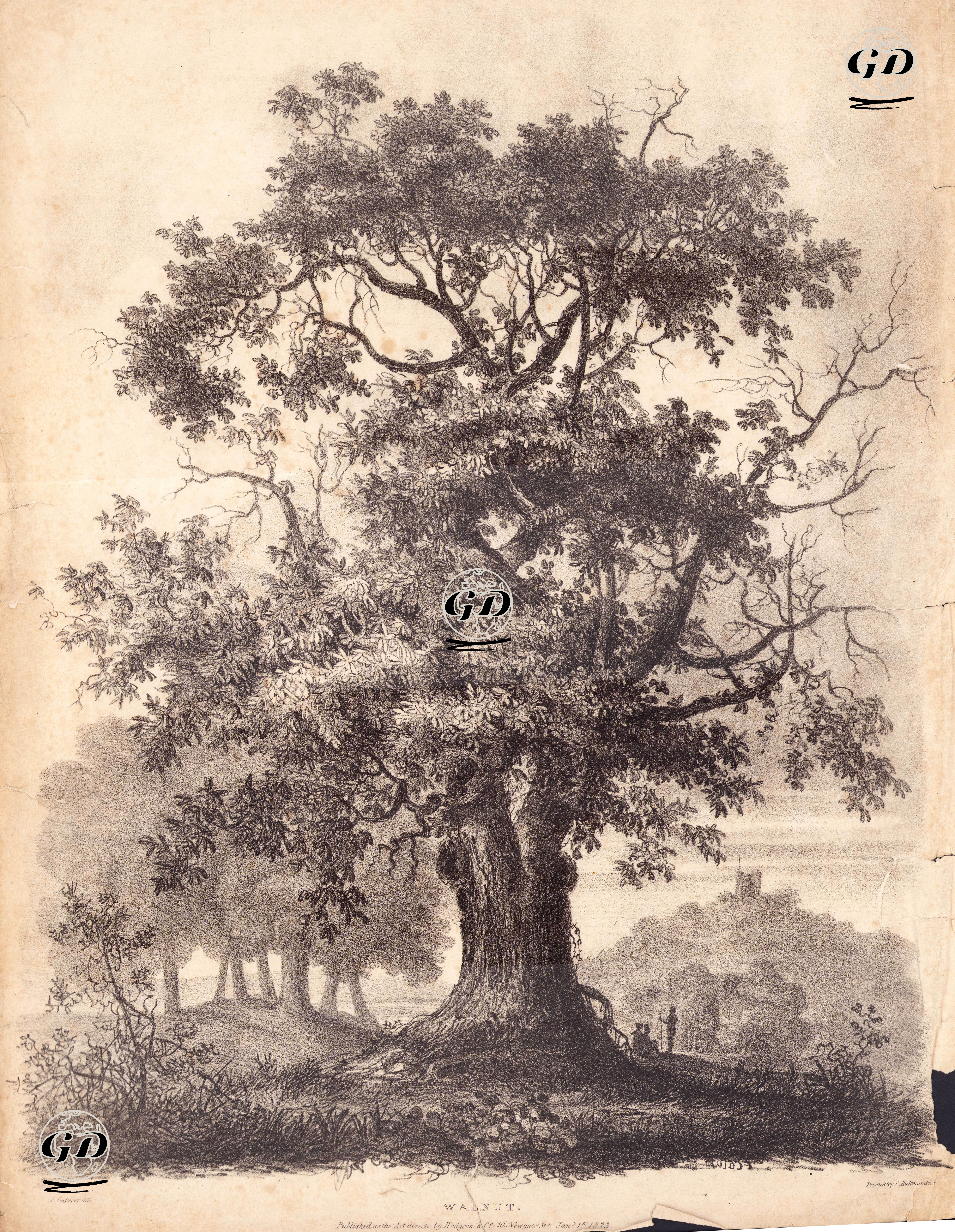 Kestane - Edward Calvert (1799-1883) - 1823
