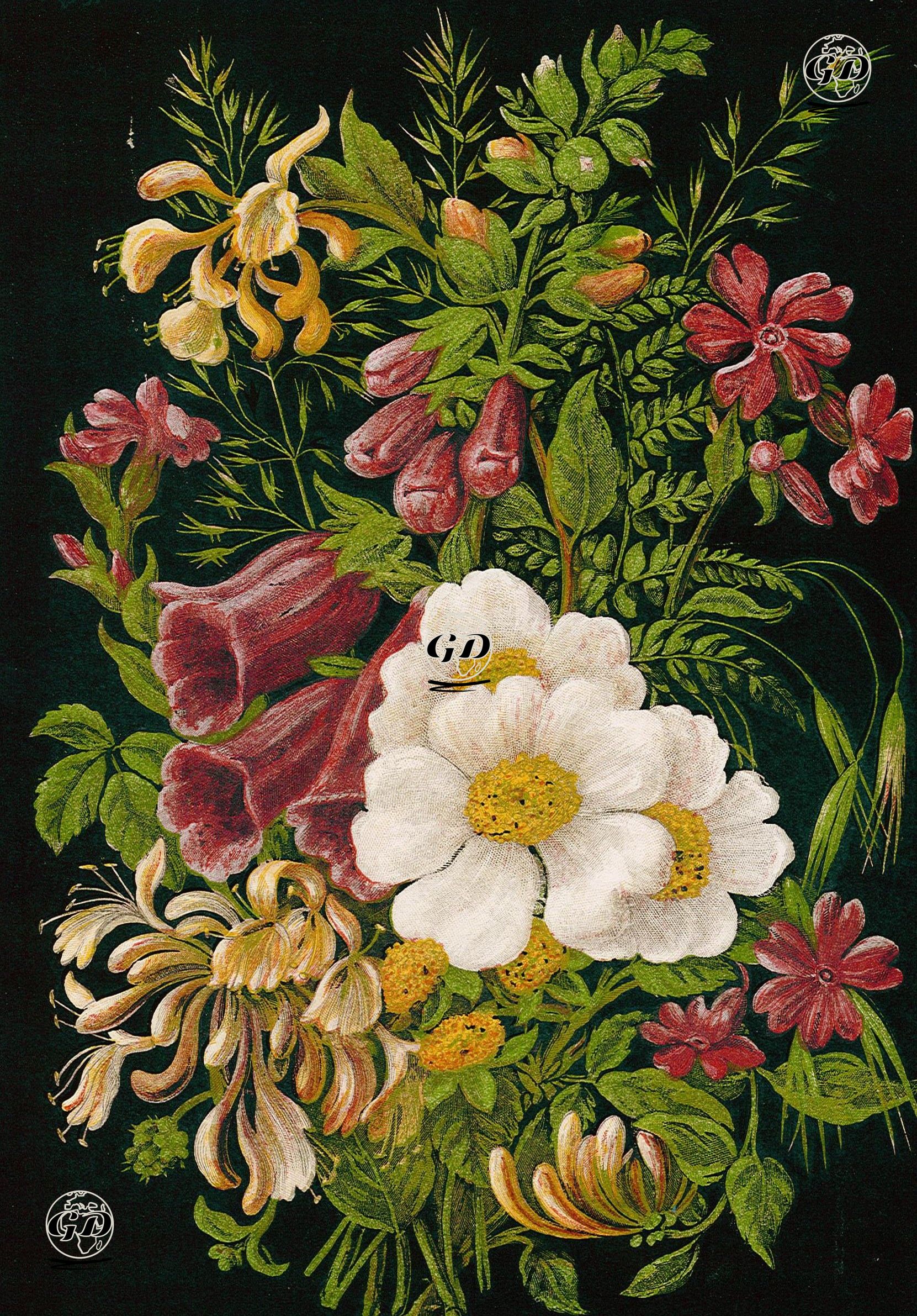 Yaz - Courtenay Edmonds - 1860's
