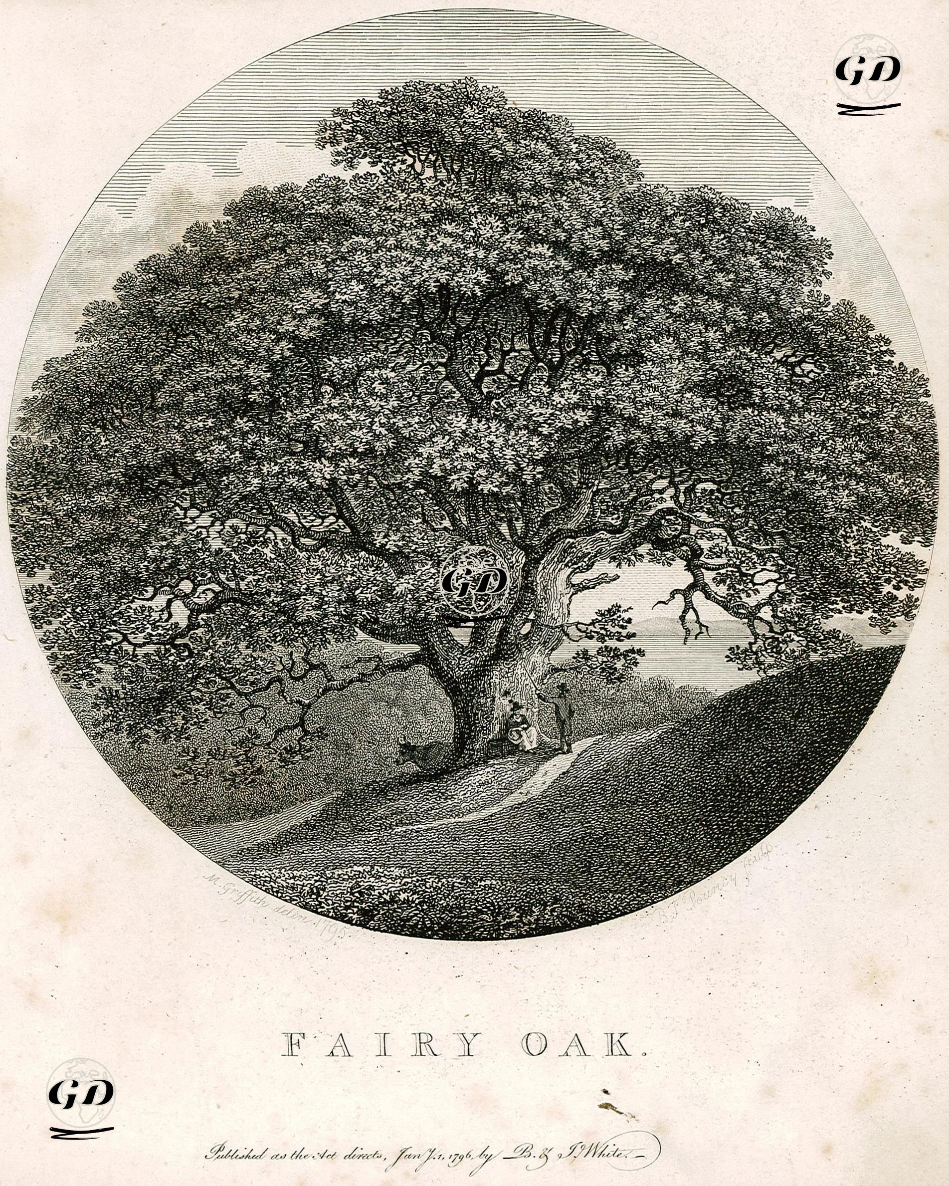 Perili Meşe - Moses Griffith (1749-1819) - 1796