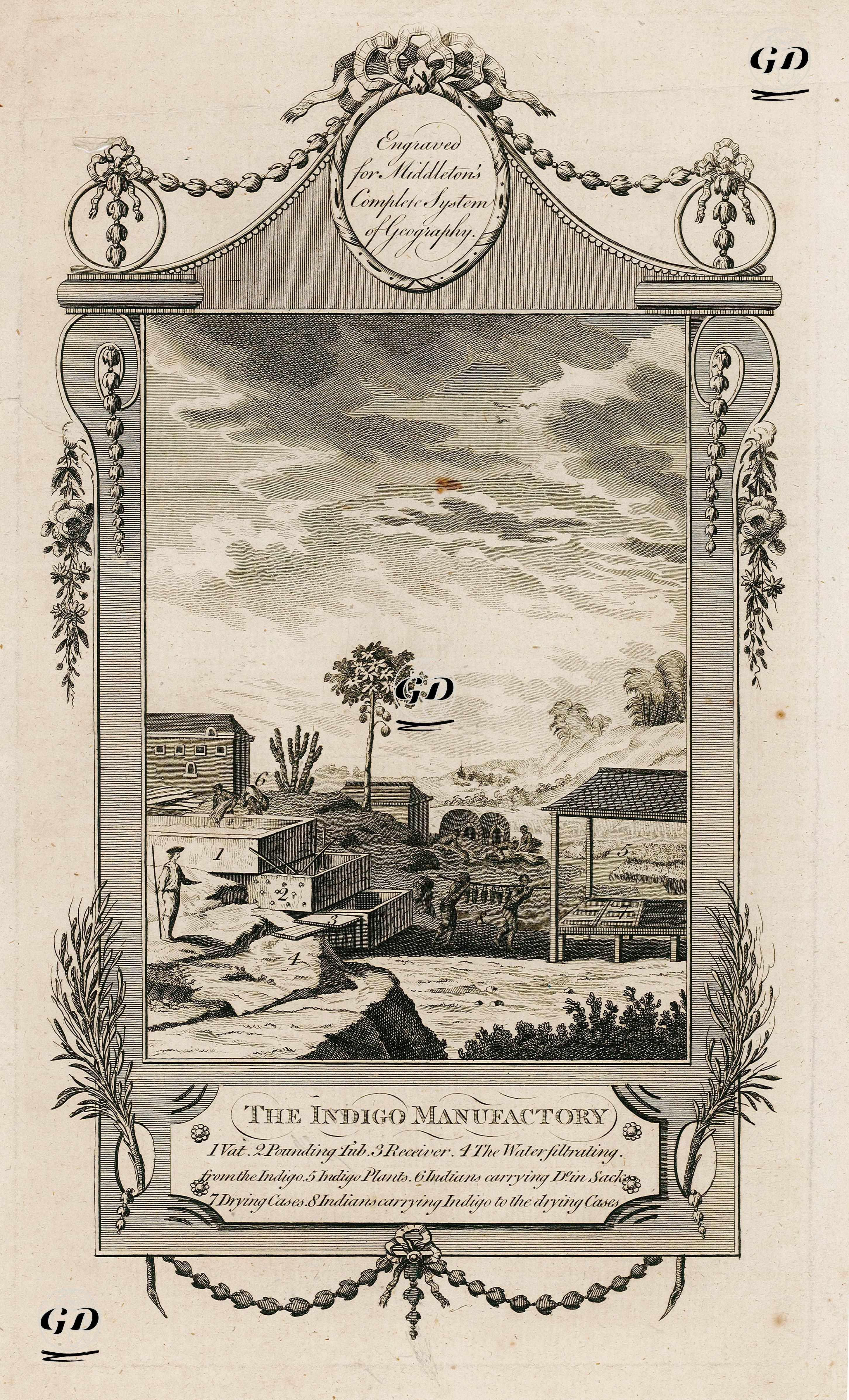 İndigo (Çivit) Üretim Yeri -  - 1777