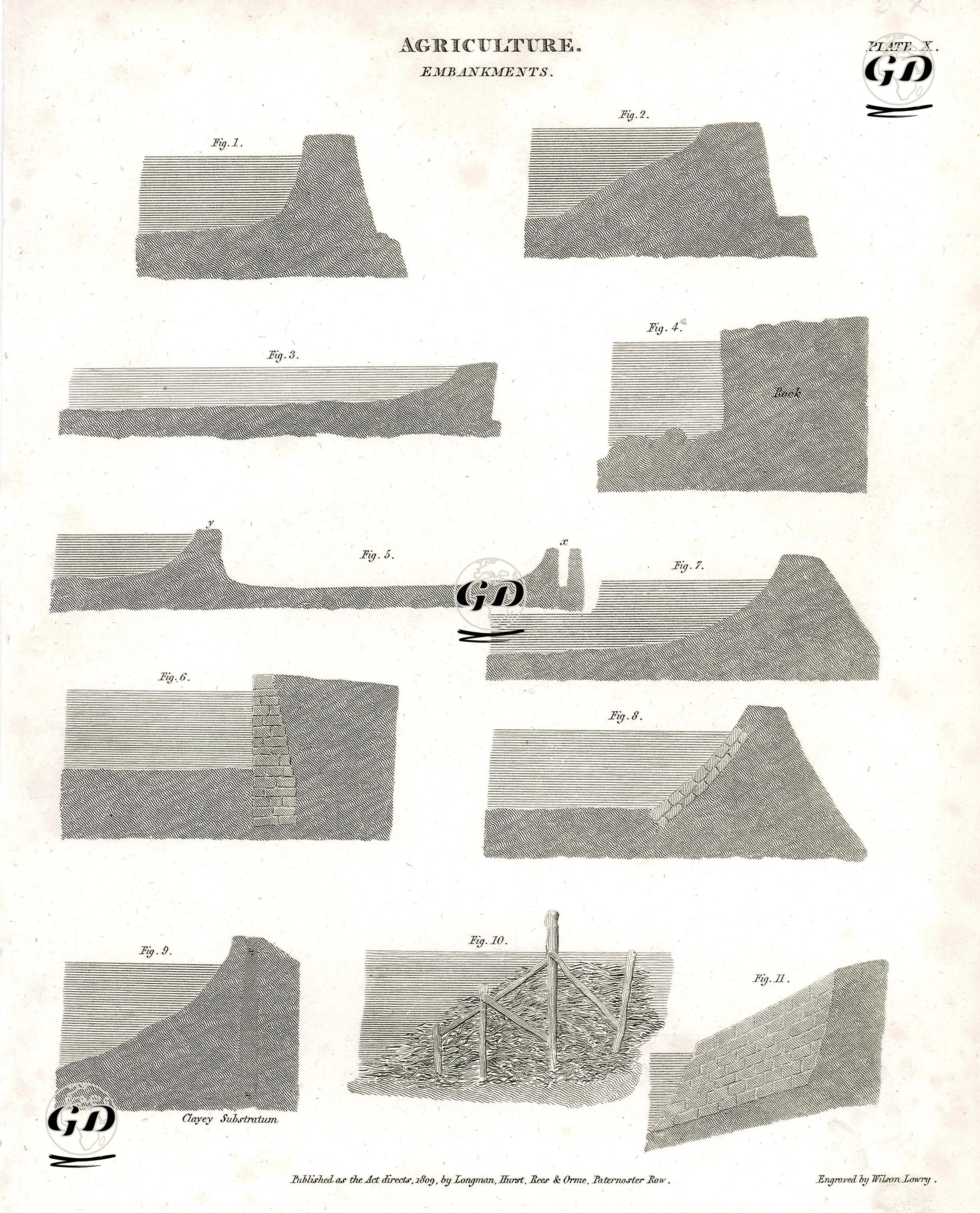 Tarım, Bentler, Plate X. -  - 1809