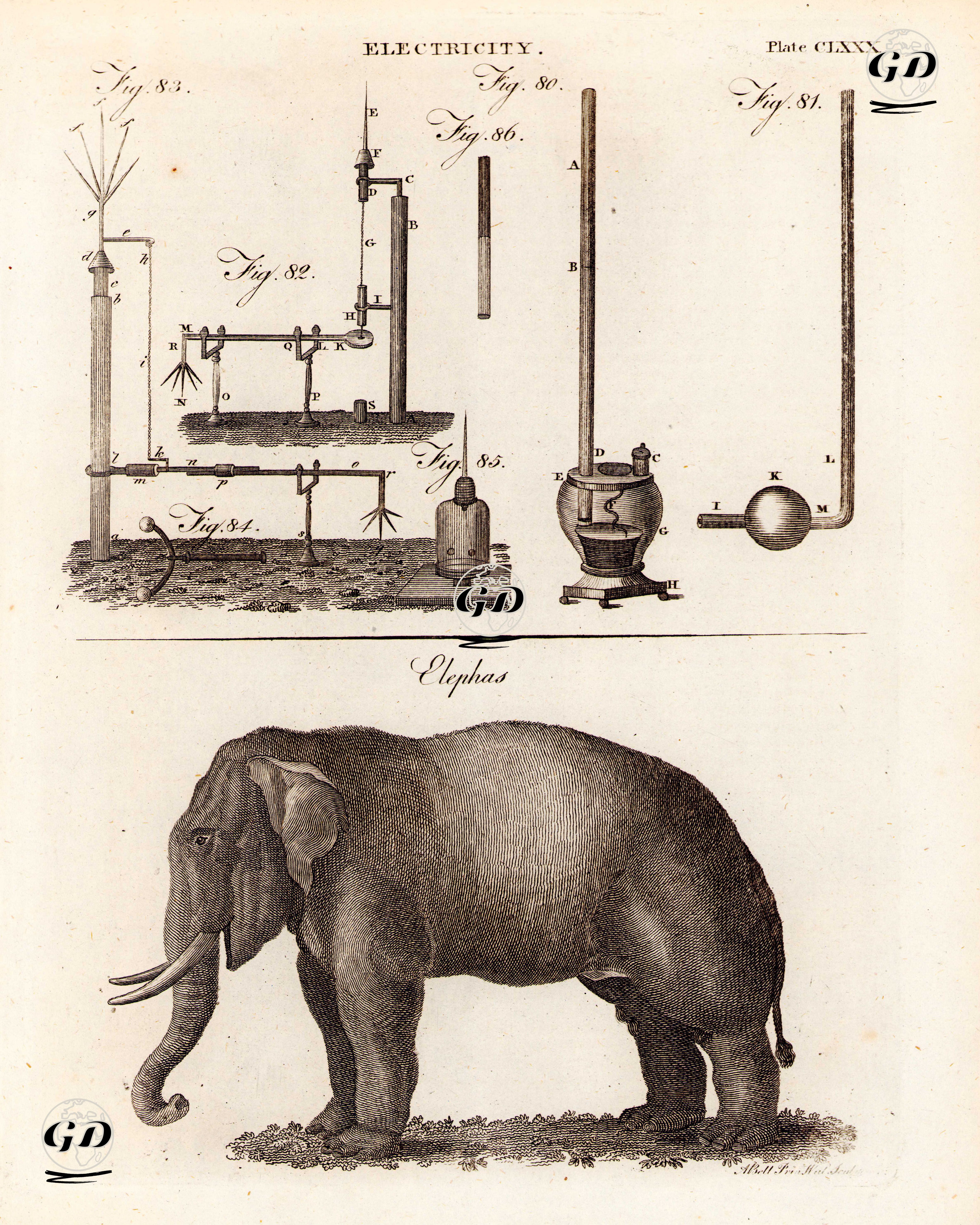 Elektrik Aletleri, Plate CCLXXX.-Fil - Andrew Bell (1726-1809) - 1797