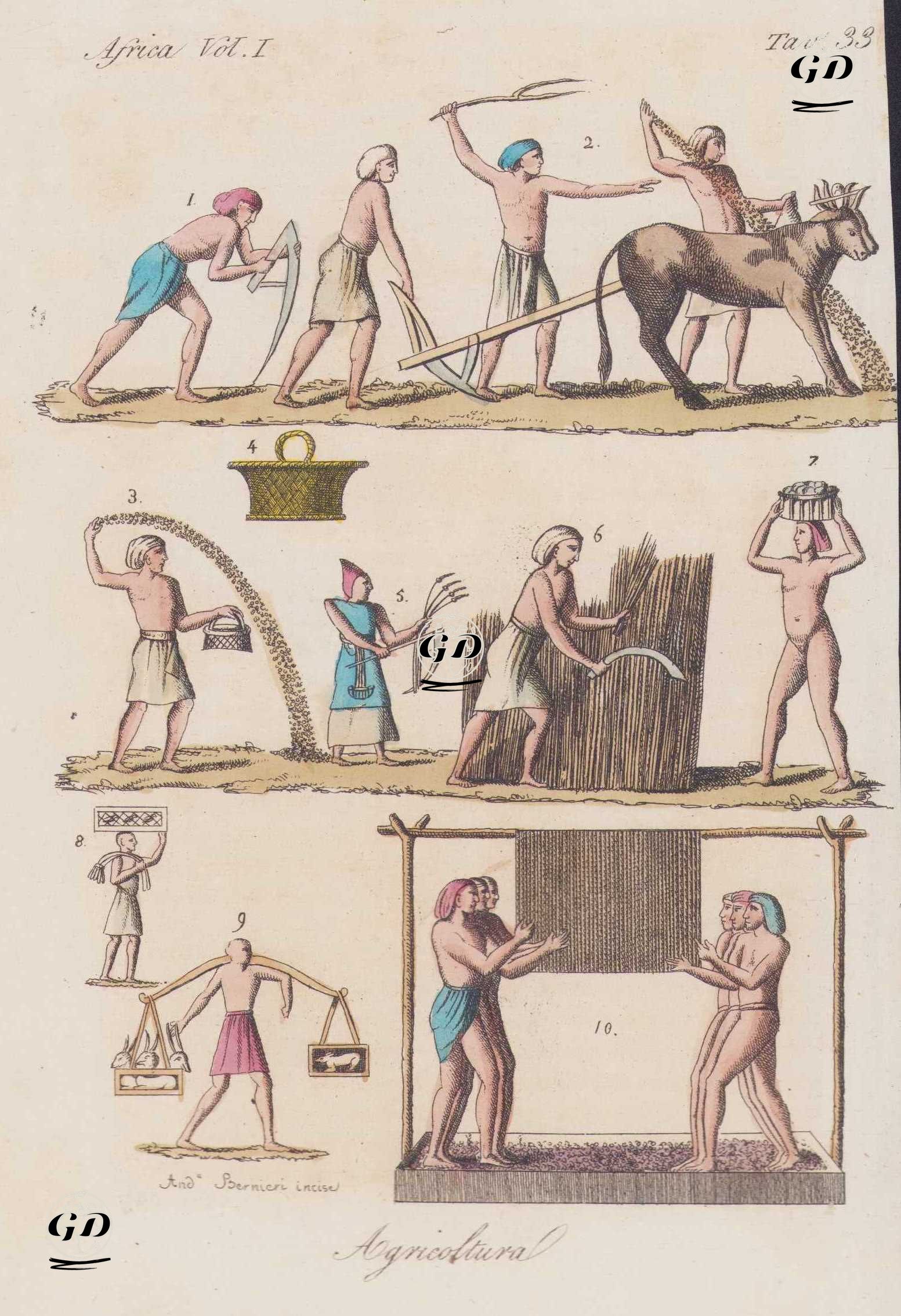 Agricoltura, Africa Vol. I. Tav.33. (Egypt Agriculture-Egyptian Priest of Osiris With Scepter (1), Plowing the Field with Two Yoke Oxen (2), Man Sowing From a Box (3), Men Harvesting Wheat With a Scythe (5,6), Men Carrying Produce (7,8,9), Men Pressing the Grape While Holding on to Ropes Hanging From a Horizontal Pole (10)) -  - 1820's-1840's