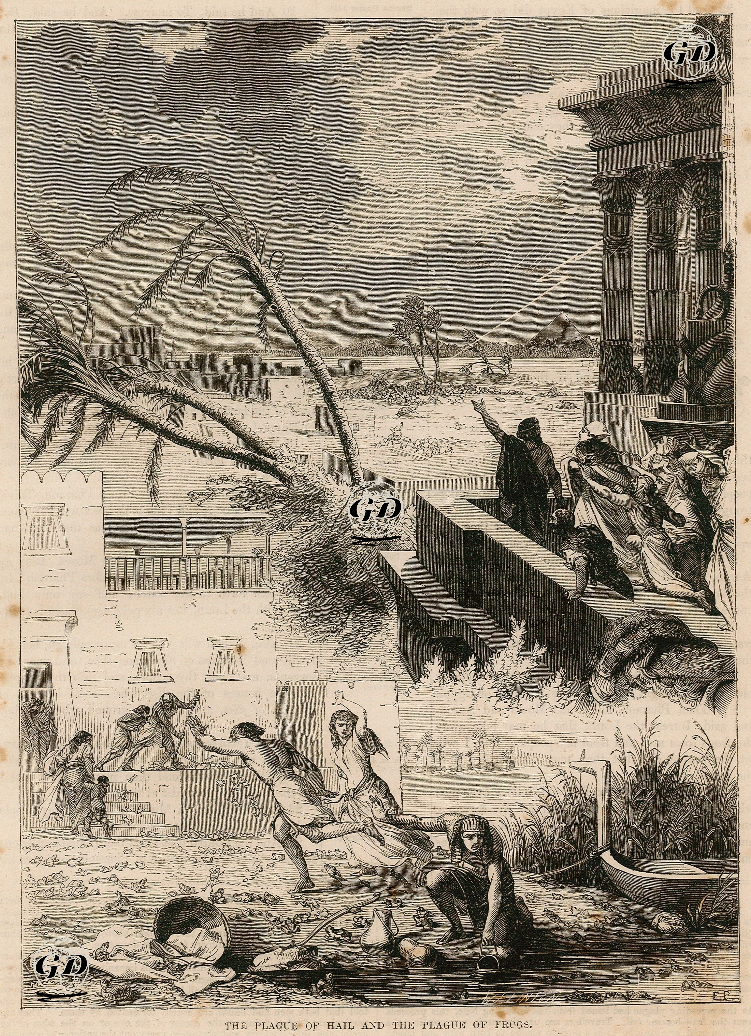 The Plague Of Hail And The Plague Of Frogs -  - 1860's