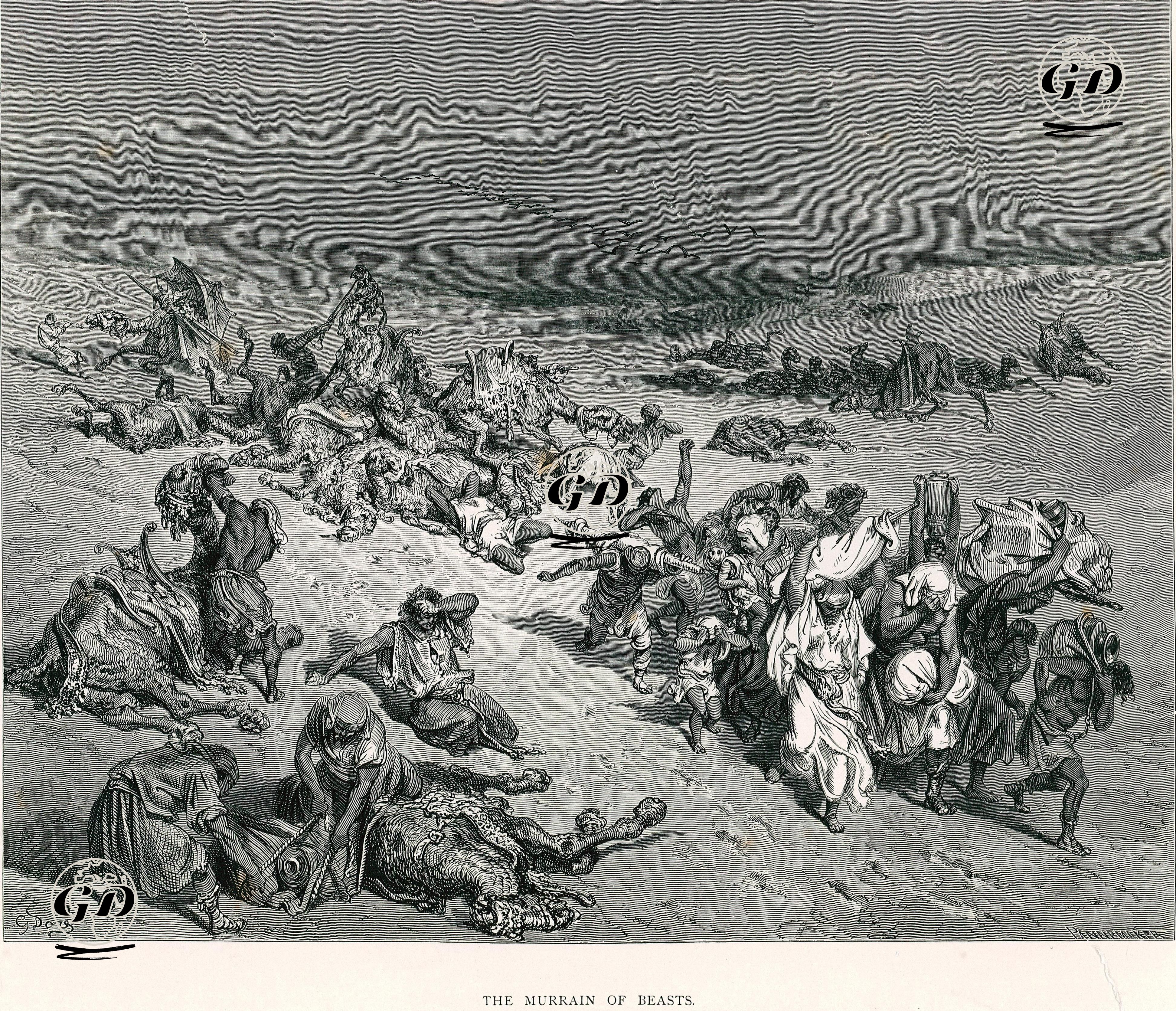 Hayvanlarda Salgın Hastalık Olması - Gustave Dore (1832-1883) - 1900's