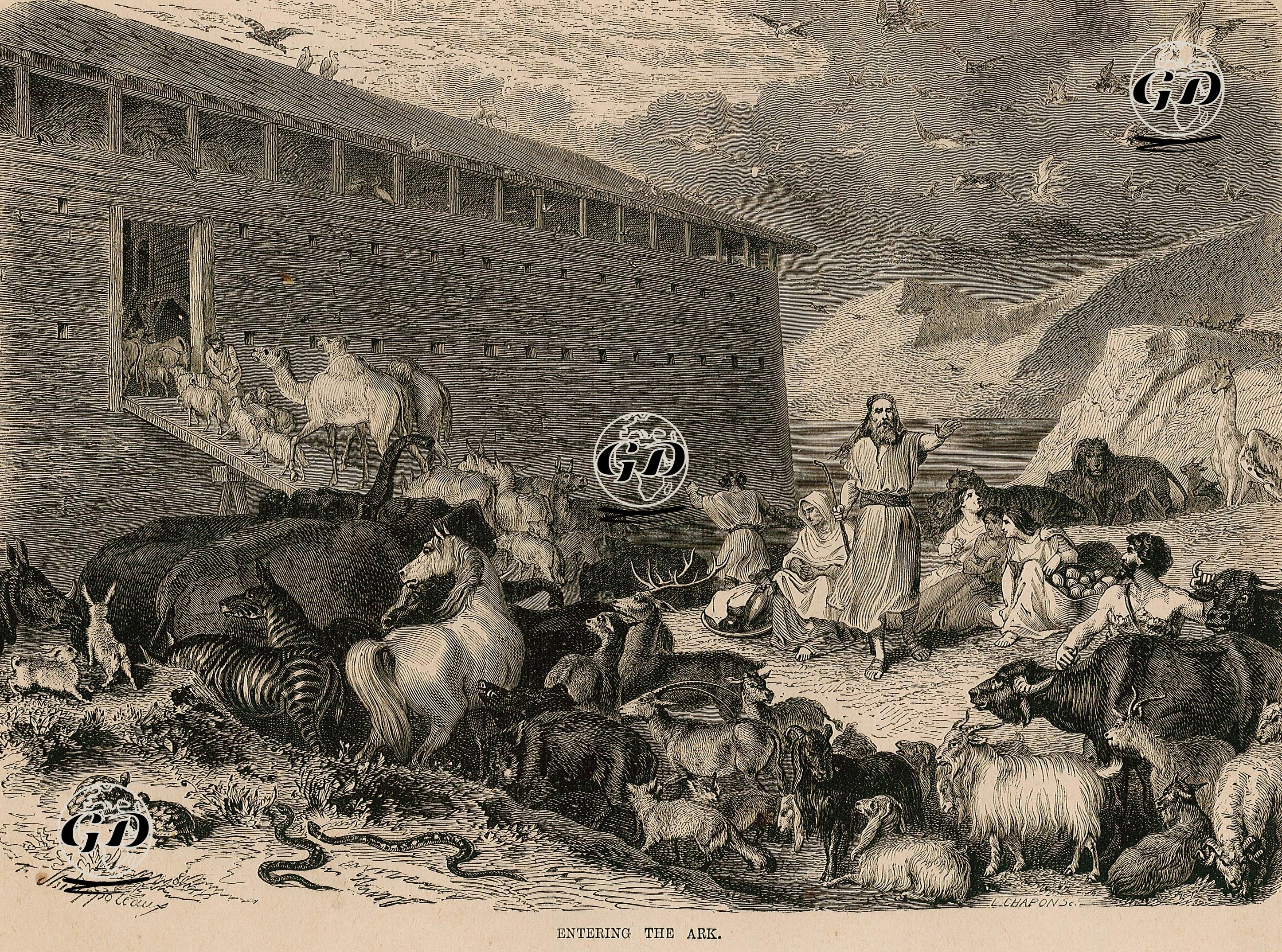 Entering The Ark - T.Shilippoteow - 1860's