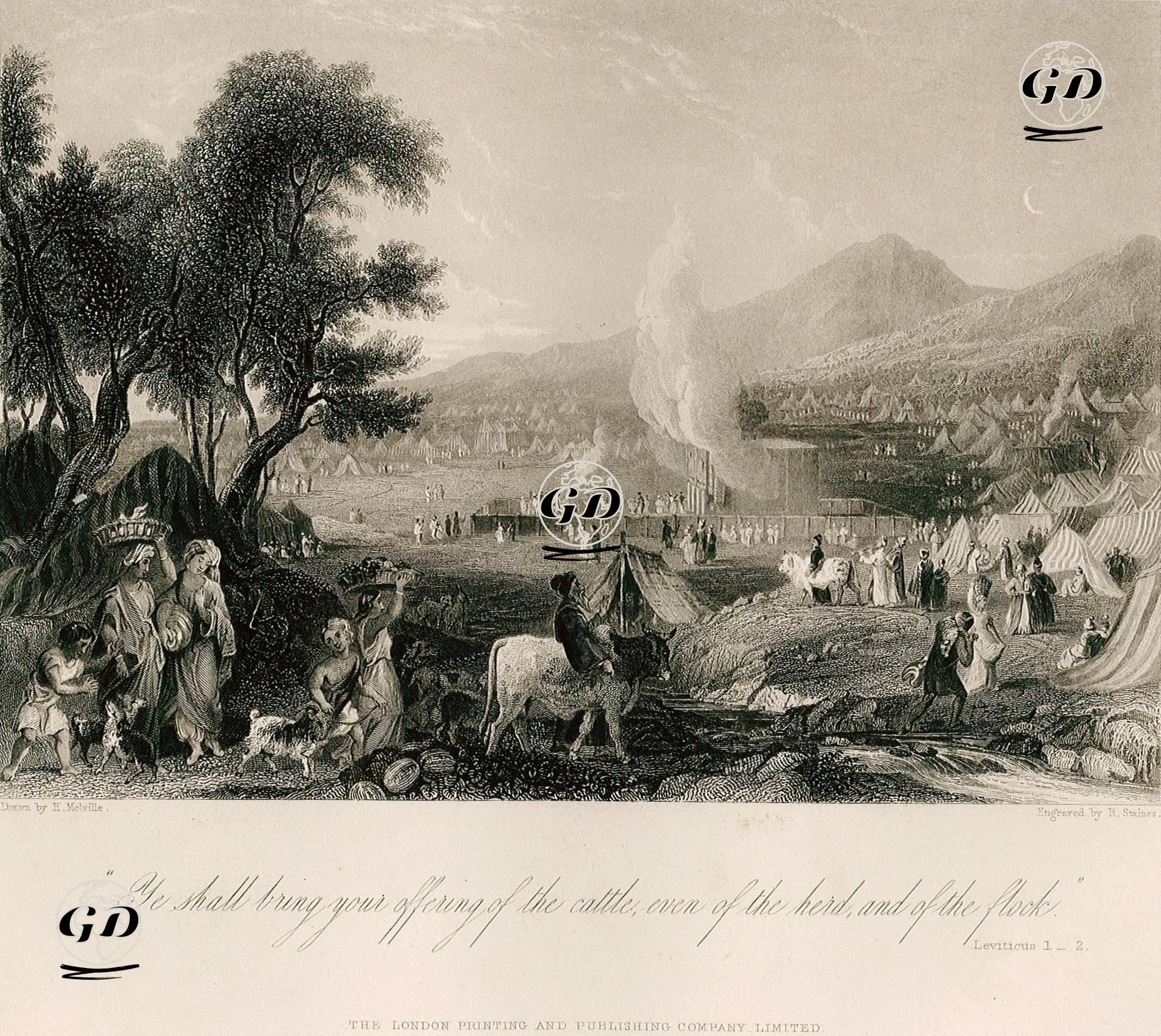 Sunu Olarak Sığır Kurban Edilmesi, Leviticus (Levililer), Chapter (Bölüm) I. Verse(Ayet) 2. - Henry Melville (1792-1870) - 1860