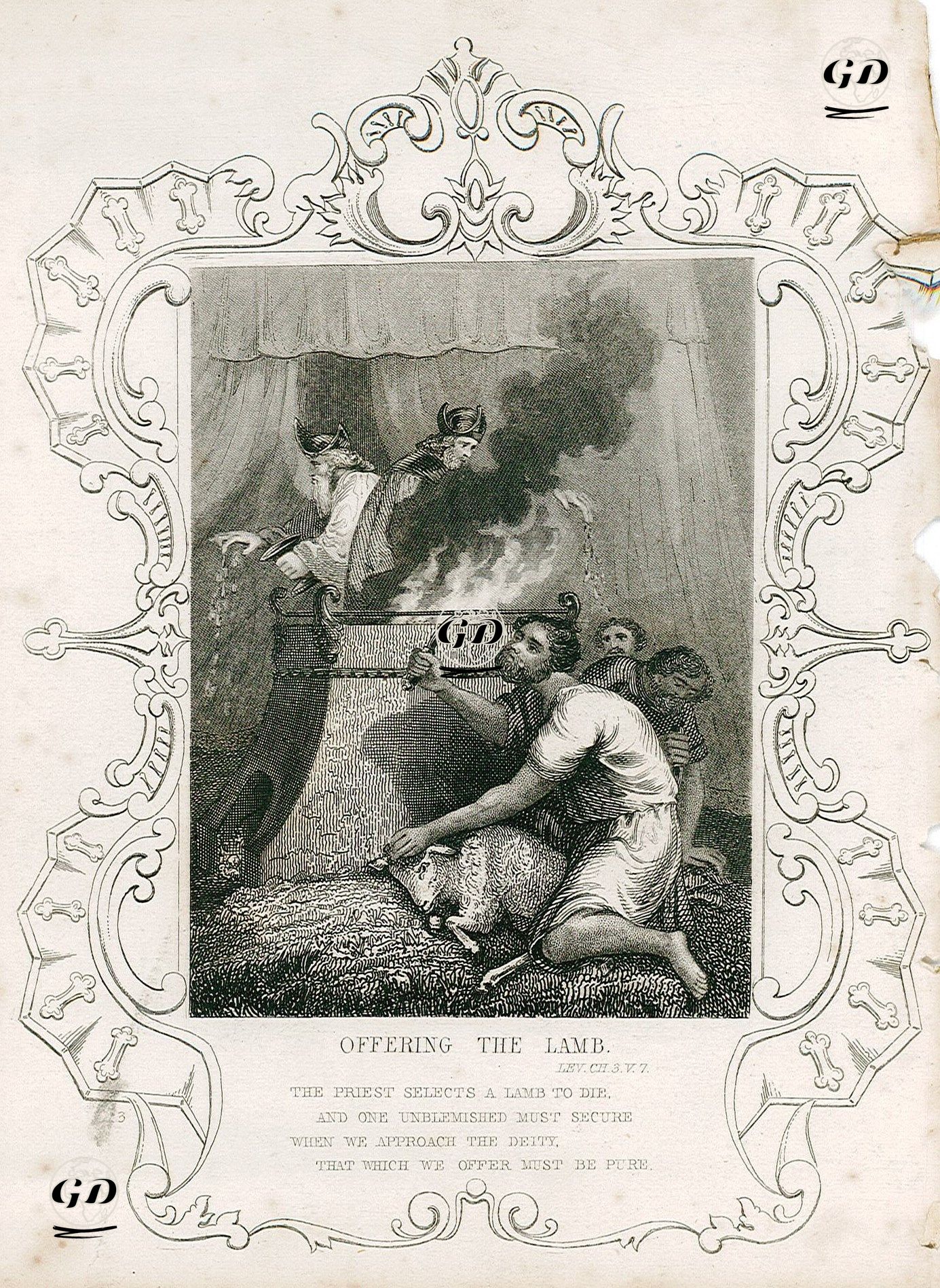 Offering The Lamb, Lev. Ch. 3. V.7.-The Priest Selects A Lamb To Die and One Unblemished Must Secure When We 
Approach The Deity That Which We Offer Must Be Pure -  - 1830's