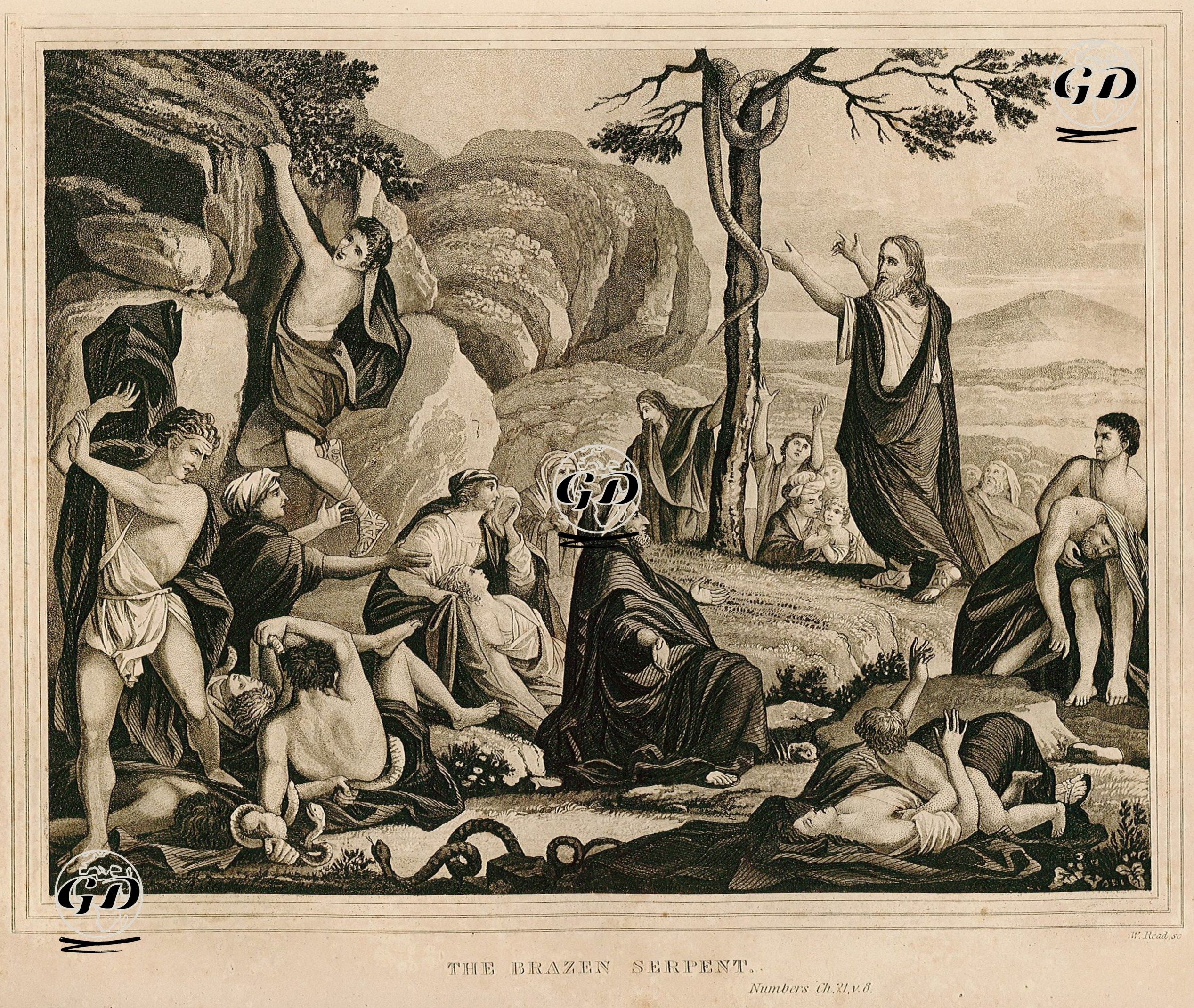Pirinç Yılan, Numbers (Çölde Sayım), Chapter (Bölüm) 21. Verse (Ayet) 28. - W.Read - 1835