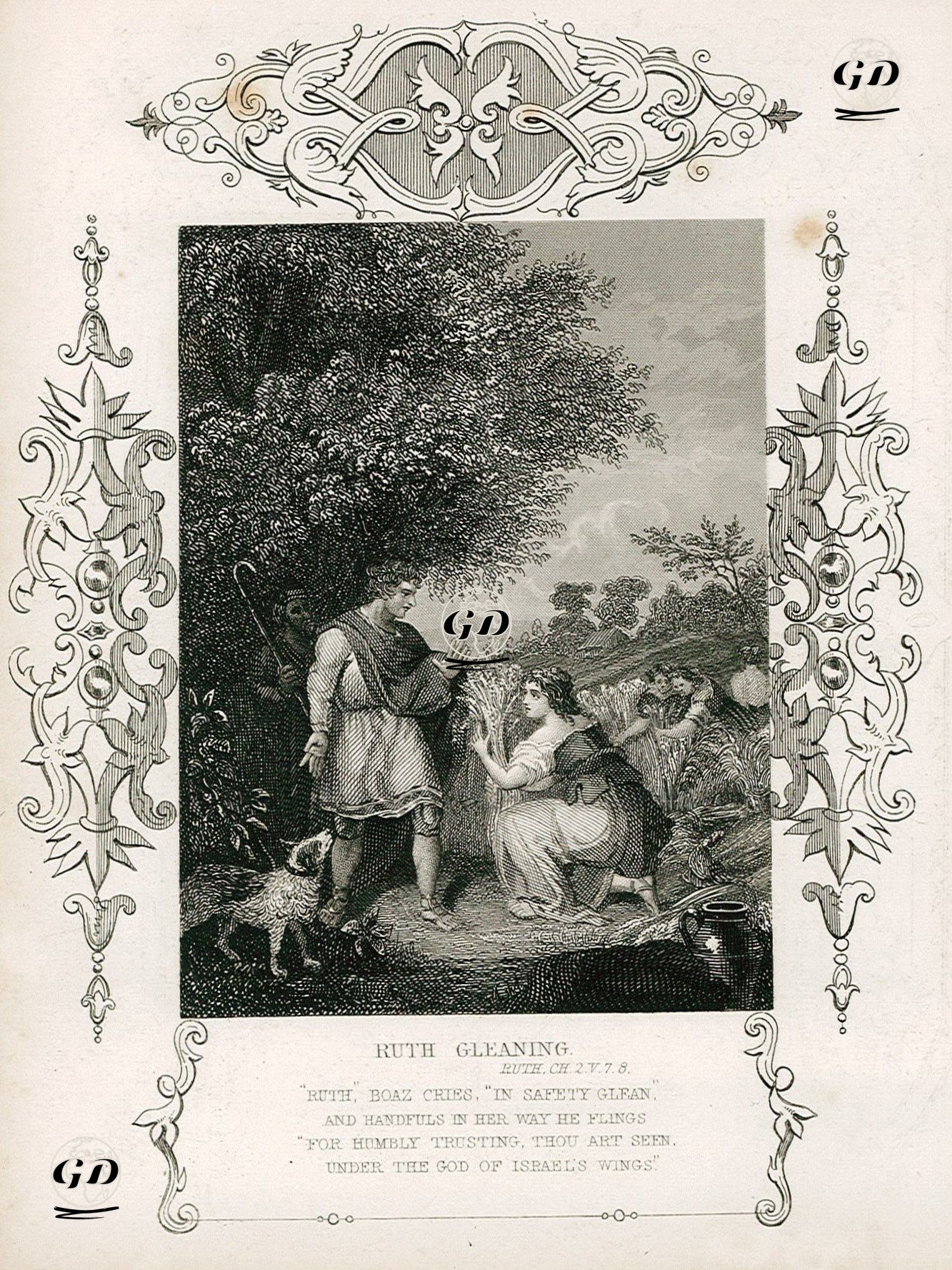 Ruth'un Hasat Sonrası Başakları Toplaması, Ruth, Chapter (Bölüm) 2. Verse (Ayet) 7.8. -  - 1830's