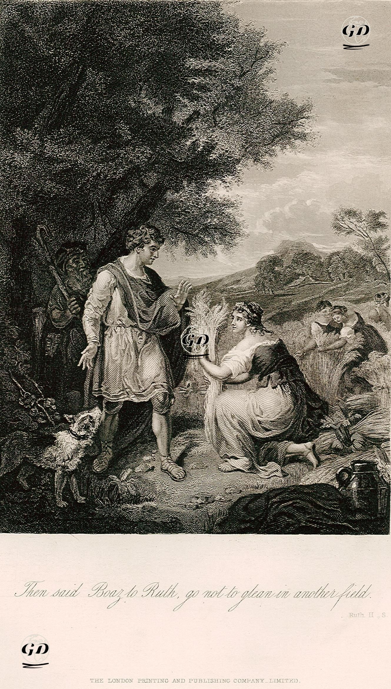 Boaz'ın Sadece Kendi Tarlalarında Başak Toplamasını  Ruth'dan İstemesi, Ruth, Chapter (Bölüm) 2. Verse (Ayet) 8. -  - 1860
