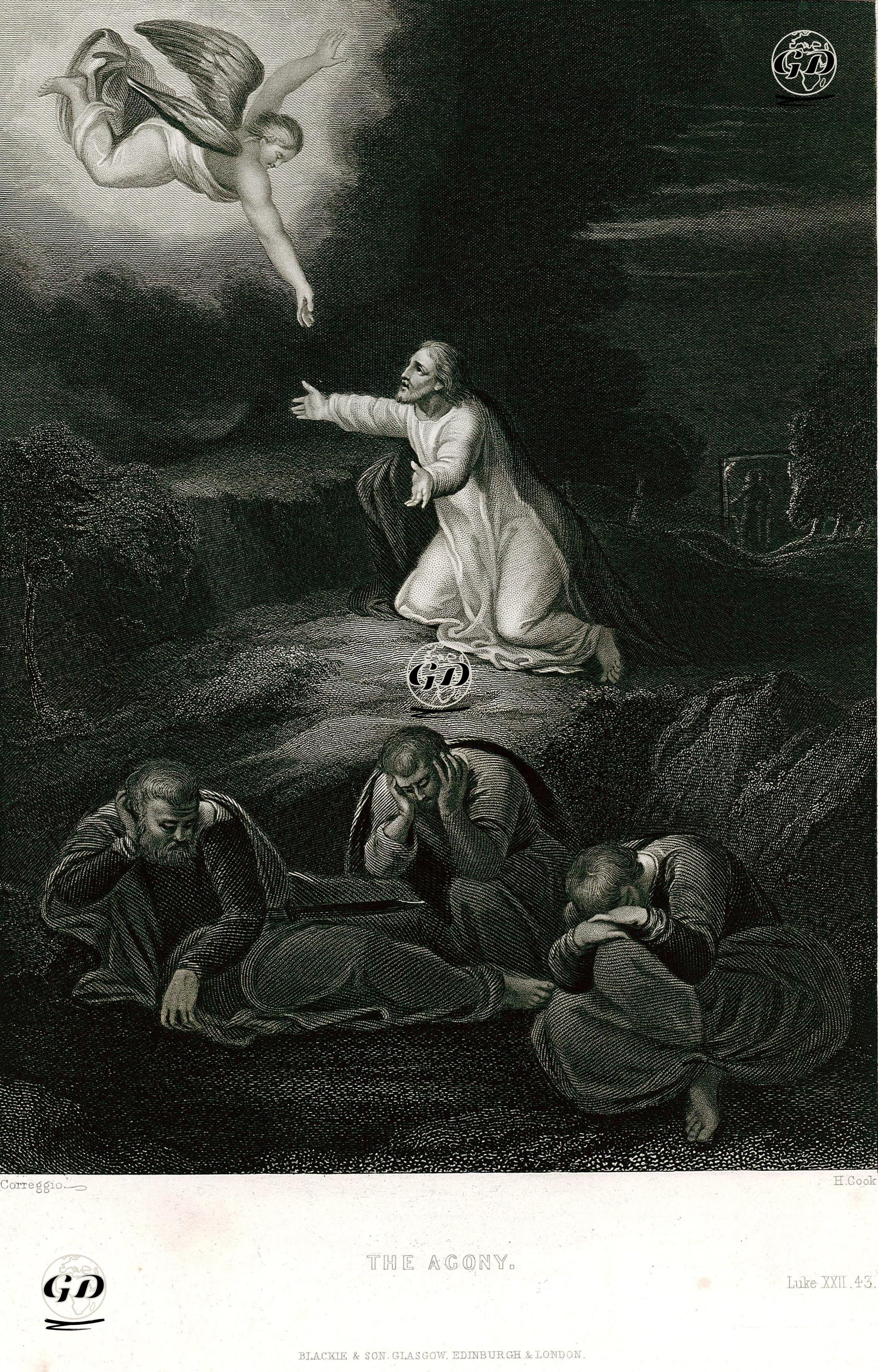 Hazreti İsanın Son Istırapları, Luke (Luka), Chapter (Bölüm) 22.Verse (Ayet) 43. - Antonio Da Correggio (1489-1534) - 1864