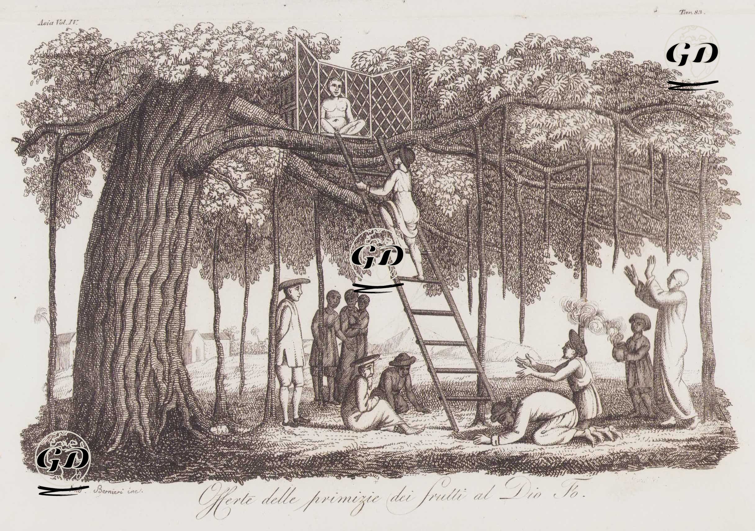 Bir Banyan Ağacının Üzerinde Bulunan Bir Buda Heykeline İnananları Tarafından Adak Sunulması, Vietnam, Asya Cilt IV. Resim 83. -  - 1820's-1840's
