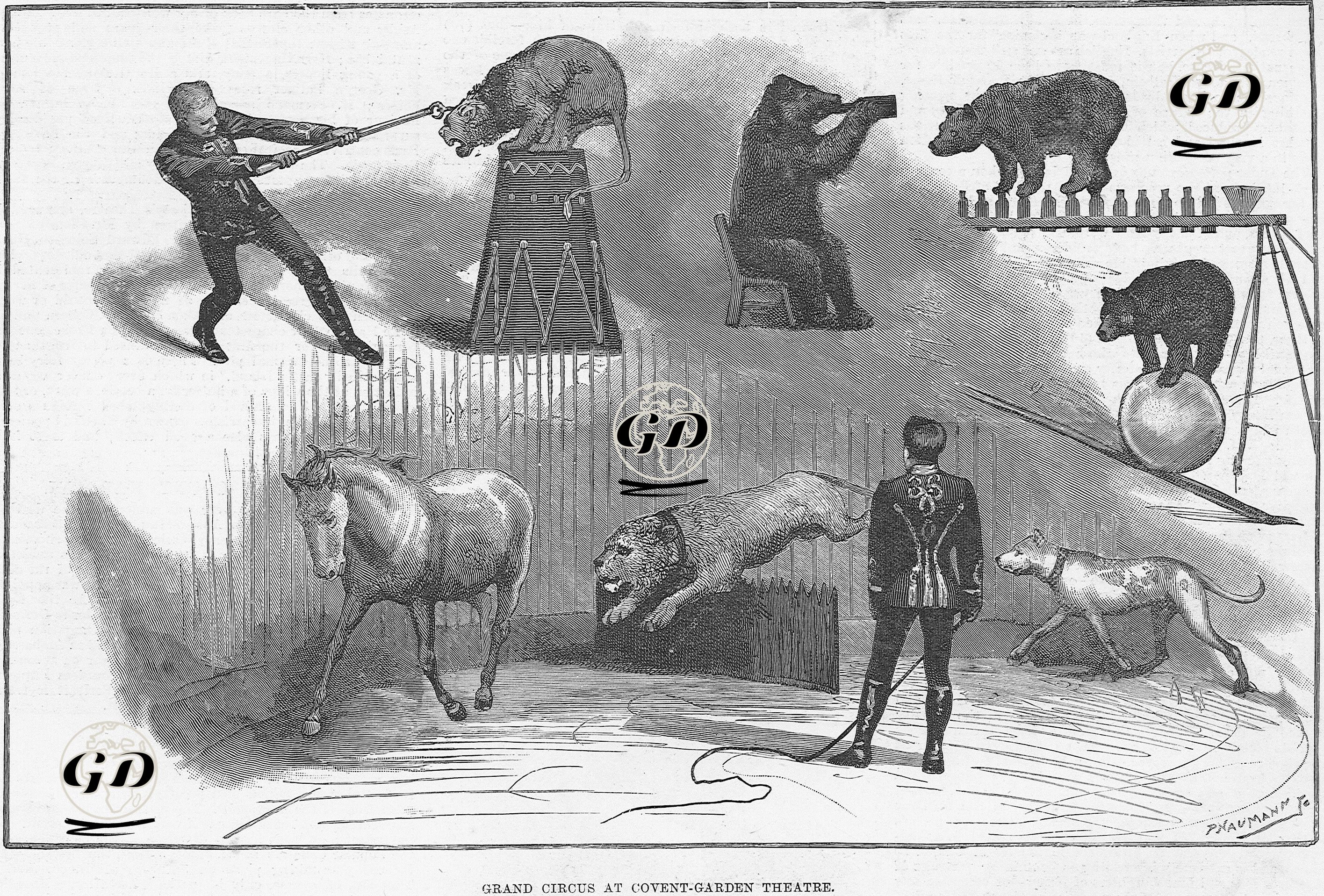 Büyük Sirk, Covent Garden Tiyatrosu-Londra Tiyatrolarında Yılbaşı Eğlenceleri  -  - 1890