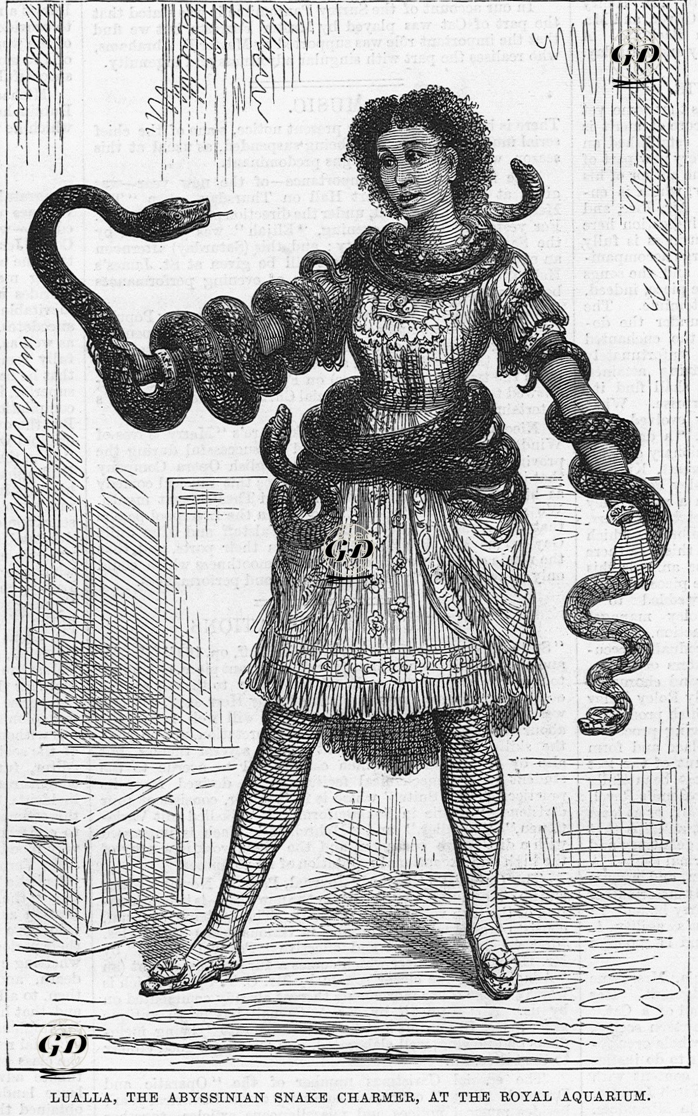 Lualla, The Abyssinian Snake Charmer, At The Royal Aquarium  -  - 1878