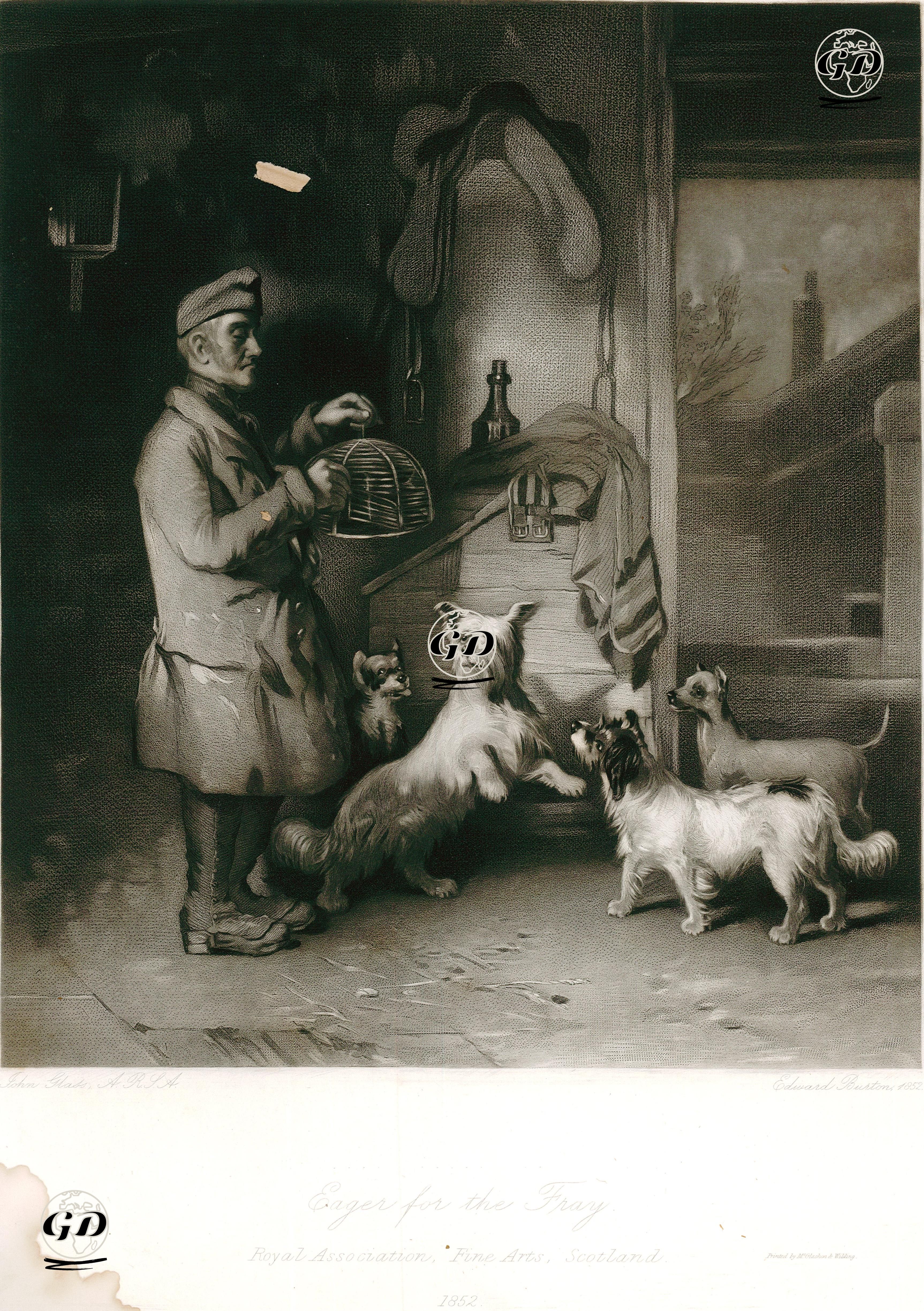 Köpeklerin Fare Yakalama İstekleri - John Glass (1820-1885) - 1852