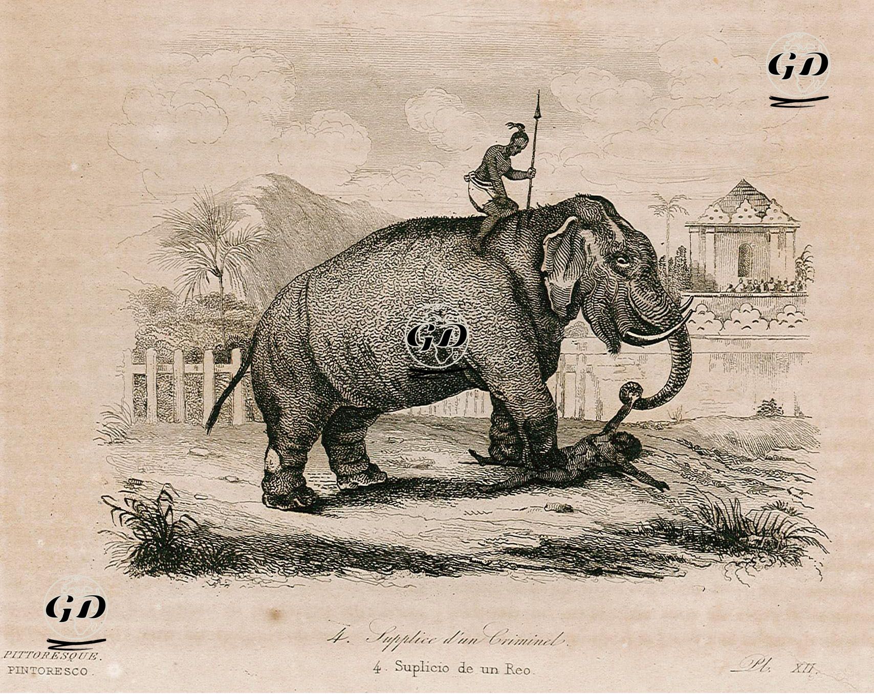 Şuçluya İşkence Edilmesi -  - 1834
