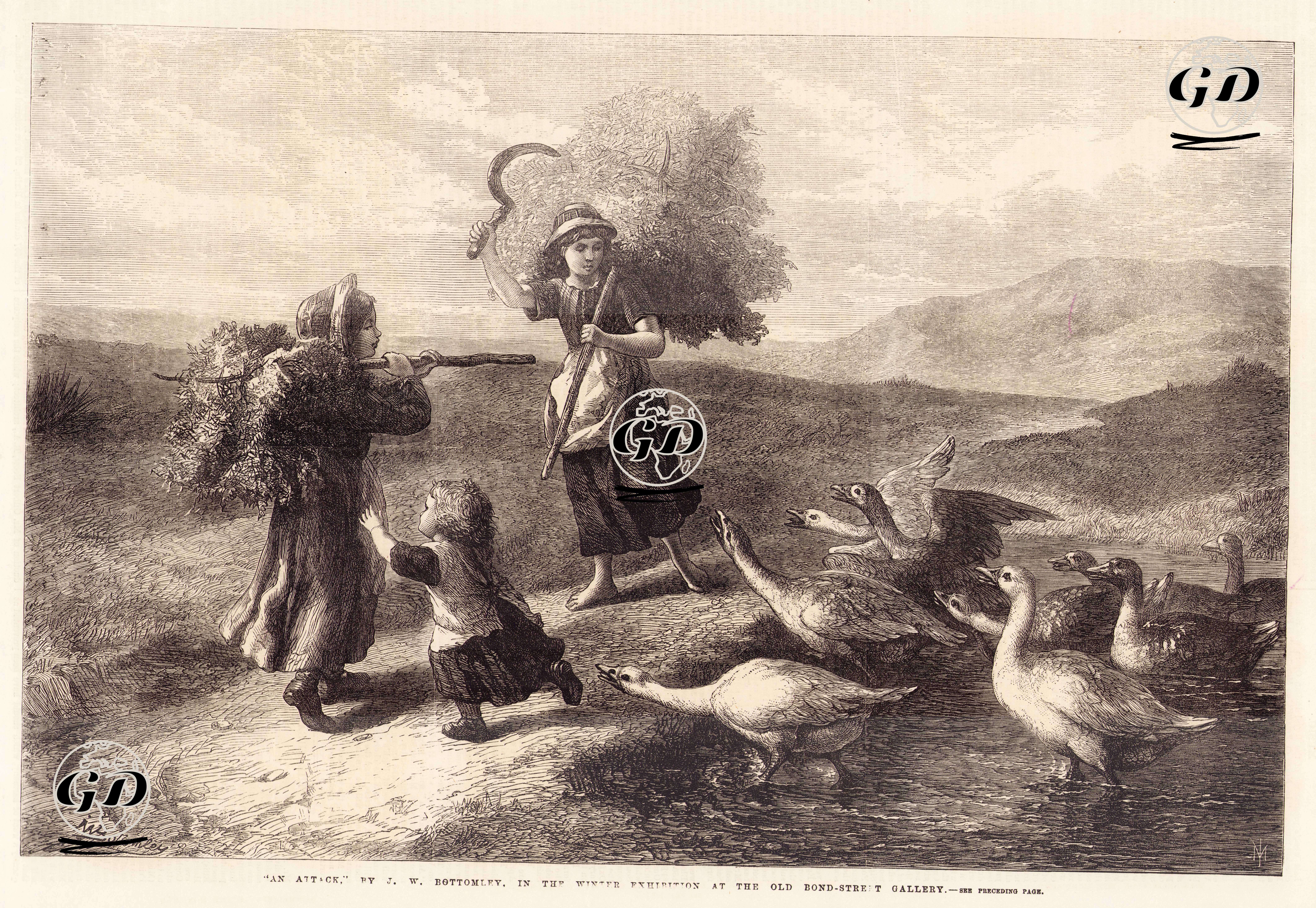 Kazların Saldırışı - John William Bottomley (1816-1900) - 1869
