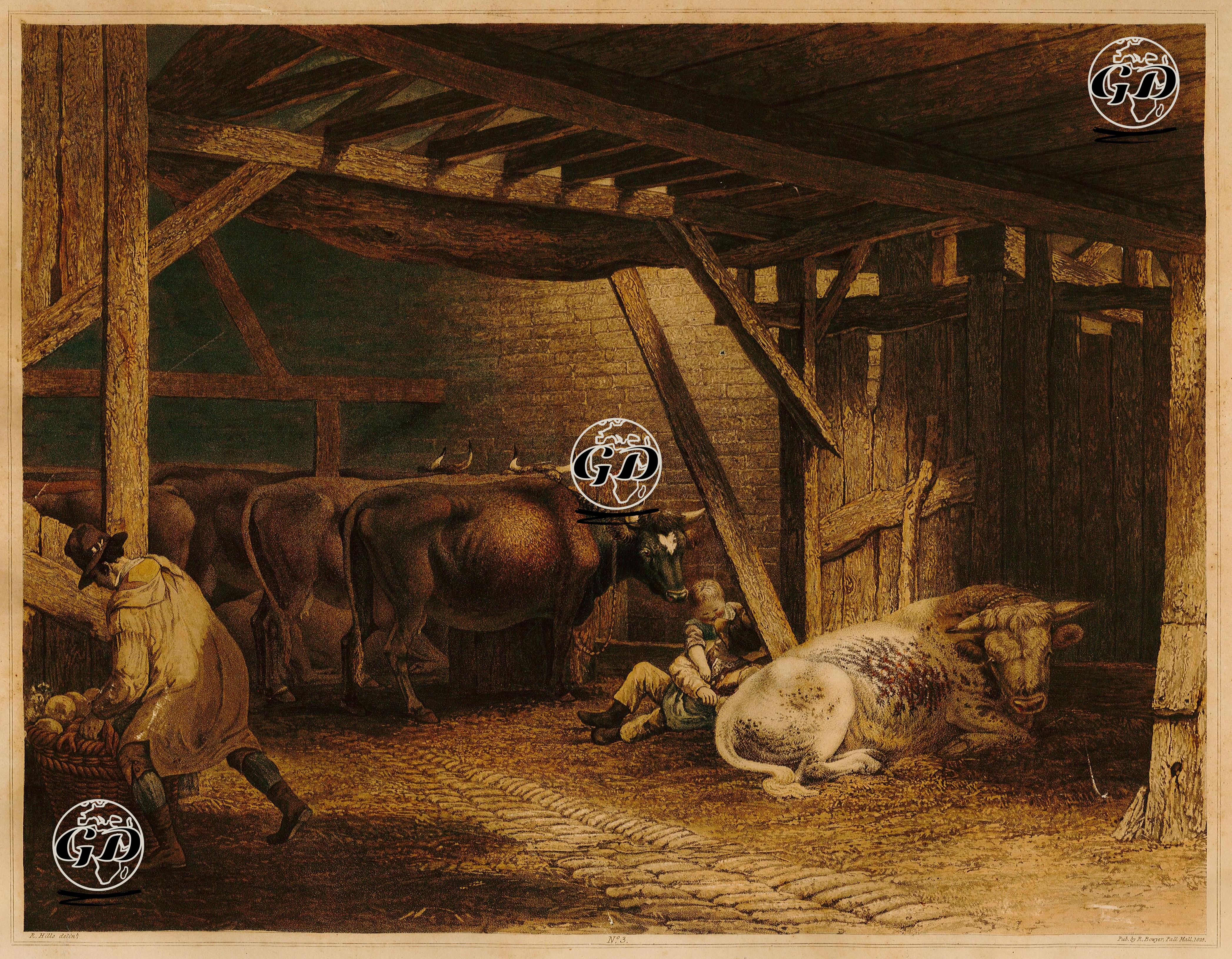 Willians Çiftliğinde Büyükbaş Hayvanlar, Plate 3. - Robert Hills (1769-1844) - 1825