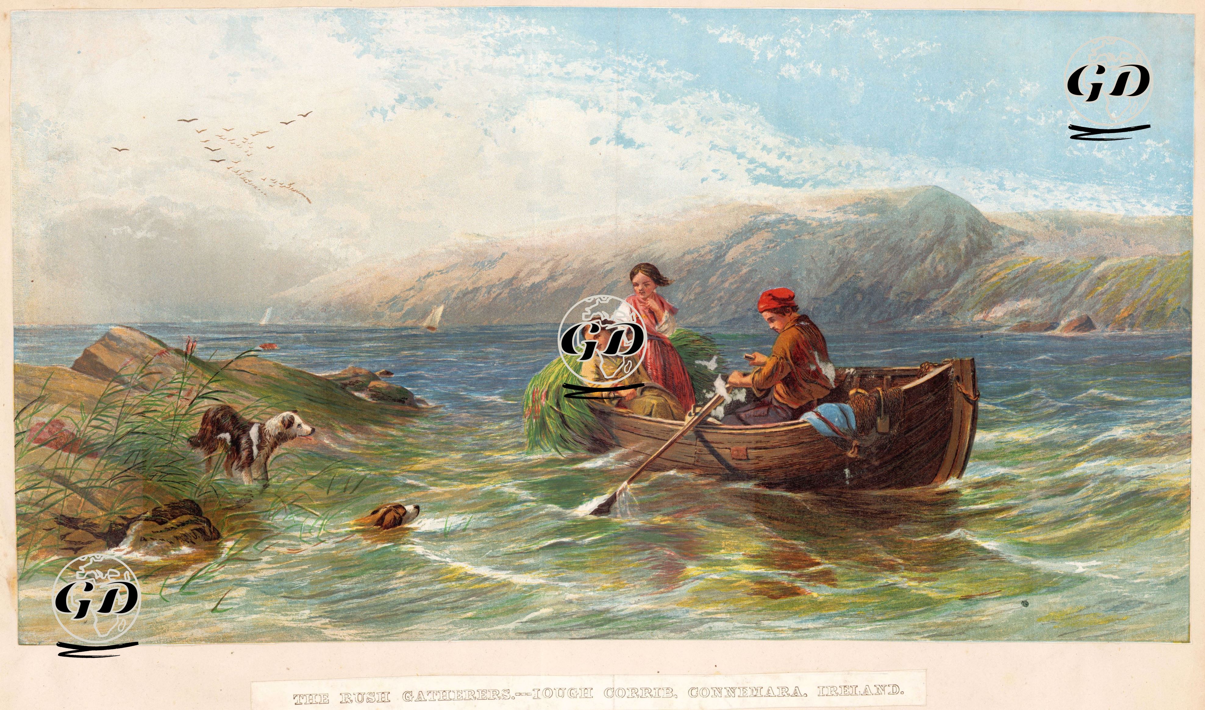 Hasırotu Toplayıcıları, Lough Corrib, Connemara, İrlanda - James John Hill (1811-1882) - 1860