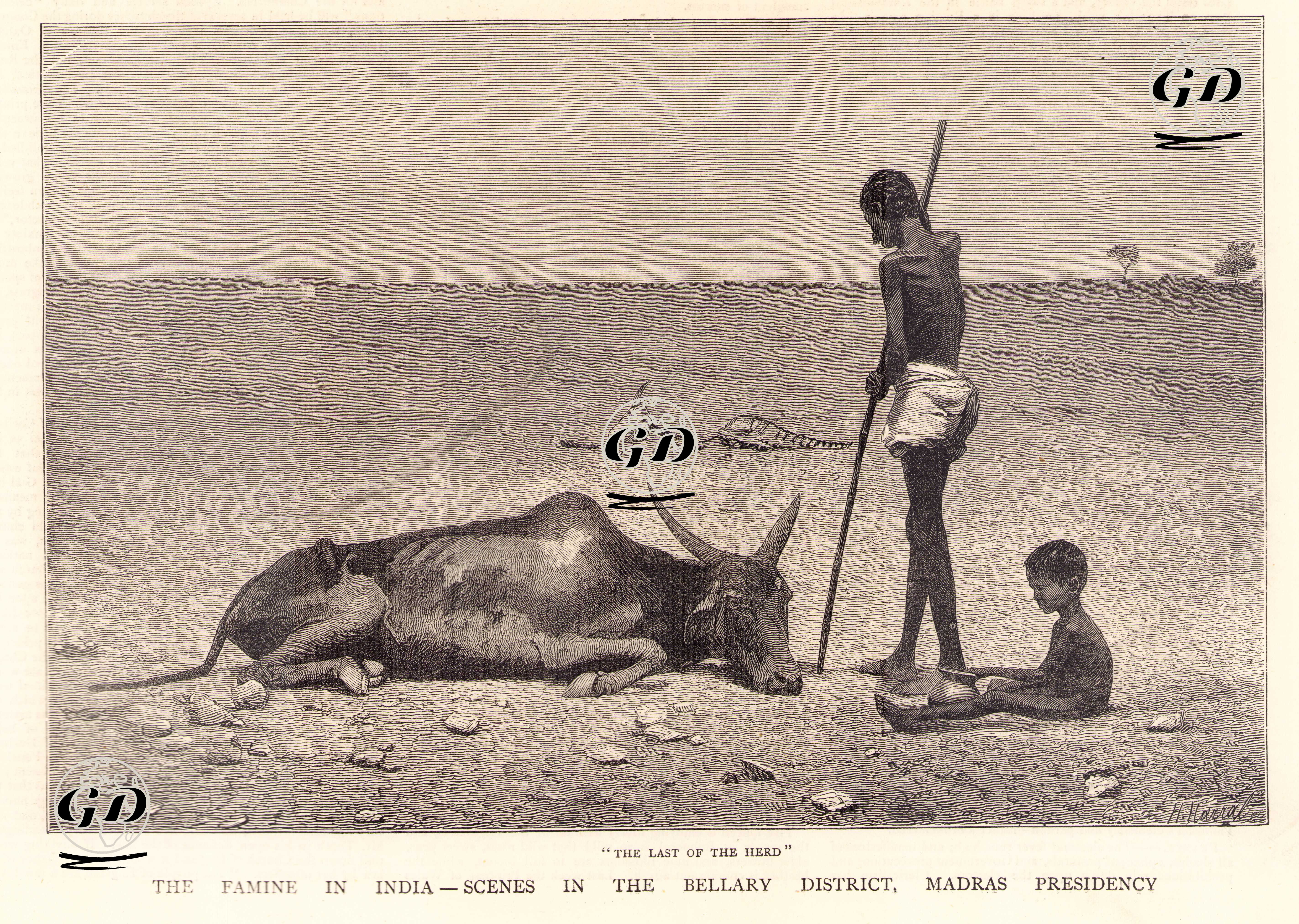 Hindistan'ın Madras Prensliğinin Bellary Bölgesinde Açlık, Sürünün Sonu -  - 1877