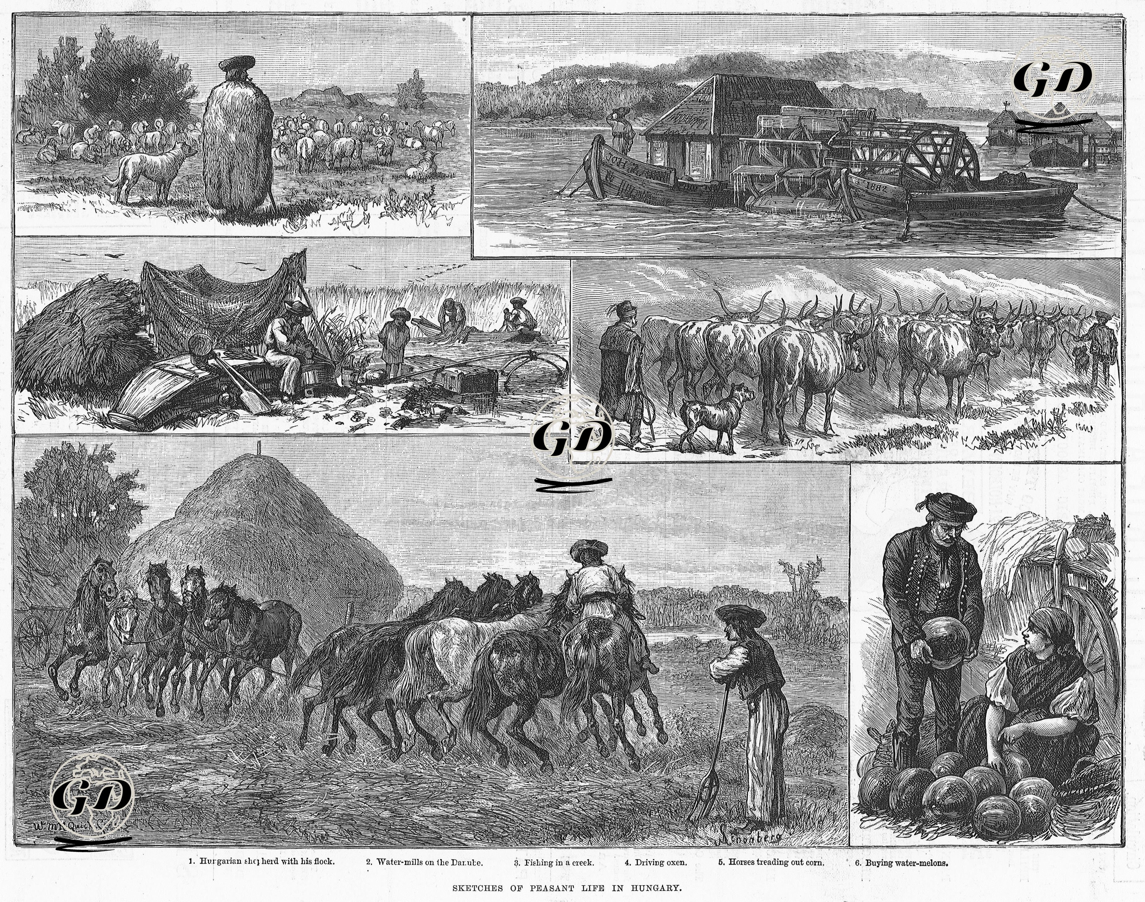 Macaristan Kırsal Hayatla İlgili Çizimler 1.Sürüsü İle Birlikte Macar Çoban 2.Tuna Nehri Üzerinde Su Değirmeni 3.Derede Yapılan Balıkçılık 4.Öküz Sürüsünün Güdüklmesi 5.Atların Mısrları Ezmesi 6.Karpuz Satın Alınması - J.Schonberg - 1883