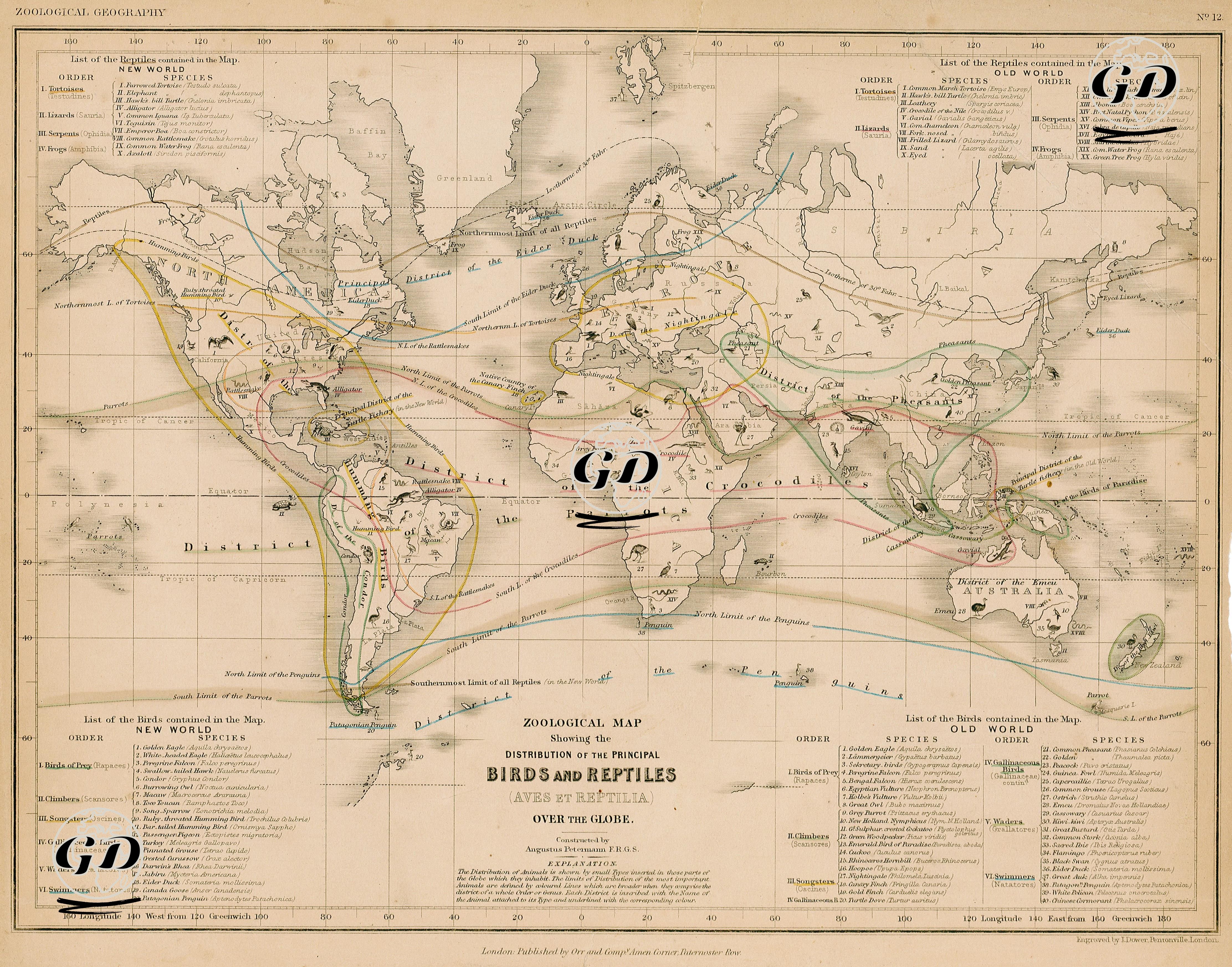 Zoological Map Showing The Distrubition Of The Principal Birds And Reptiles (Aves Et Reptilia) Over The Globe - Augustus Heinrich Petermann (1822-1878) - 1850