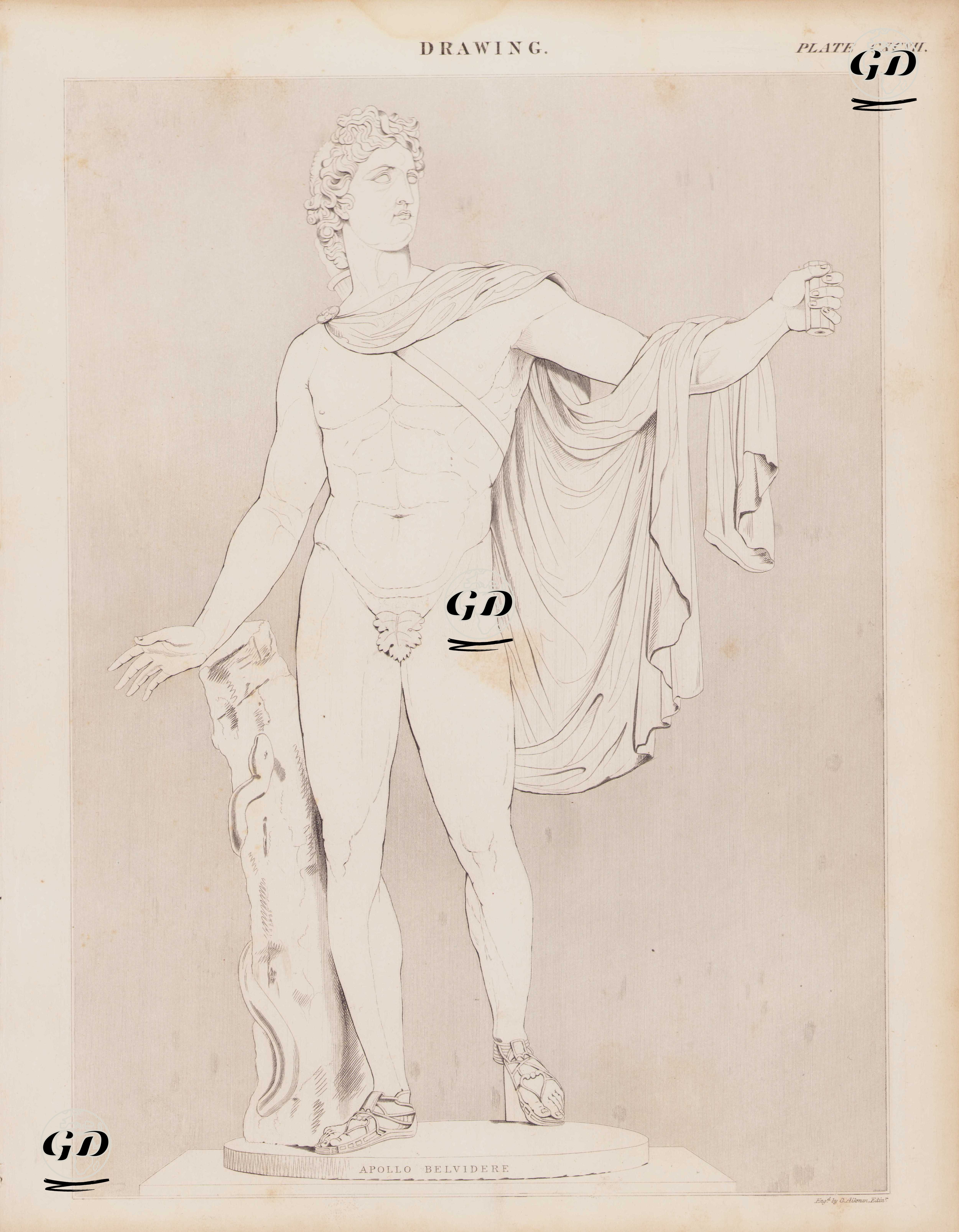 Apollo Belvedere Heykelinin Çizimi - Andrew Bell (1726-1809) - 1855