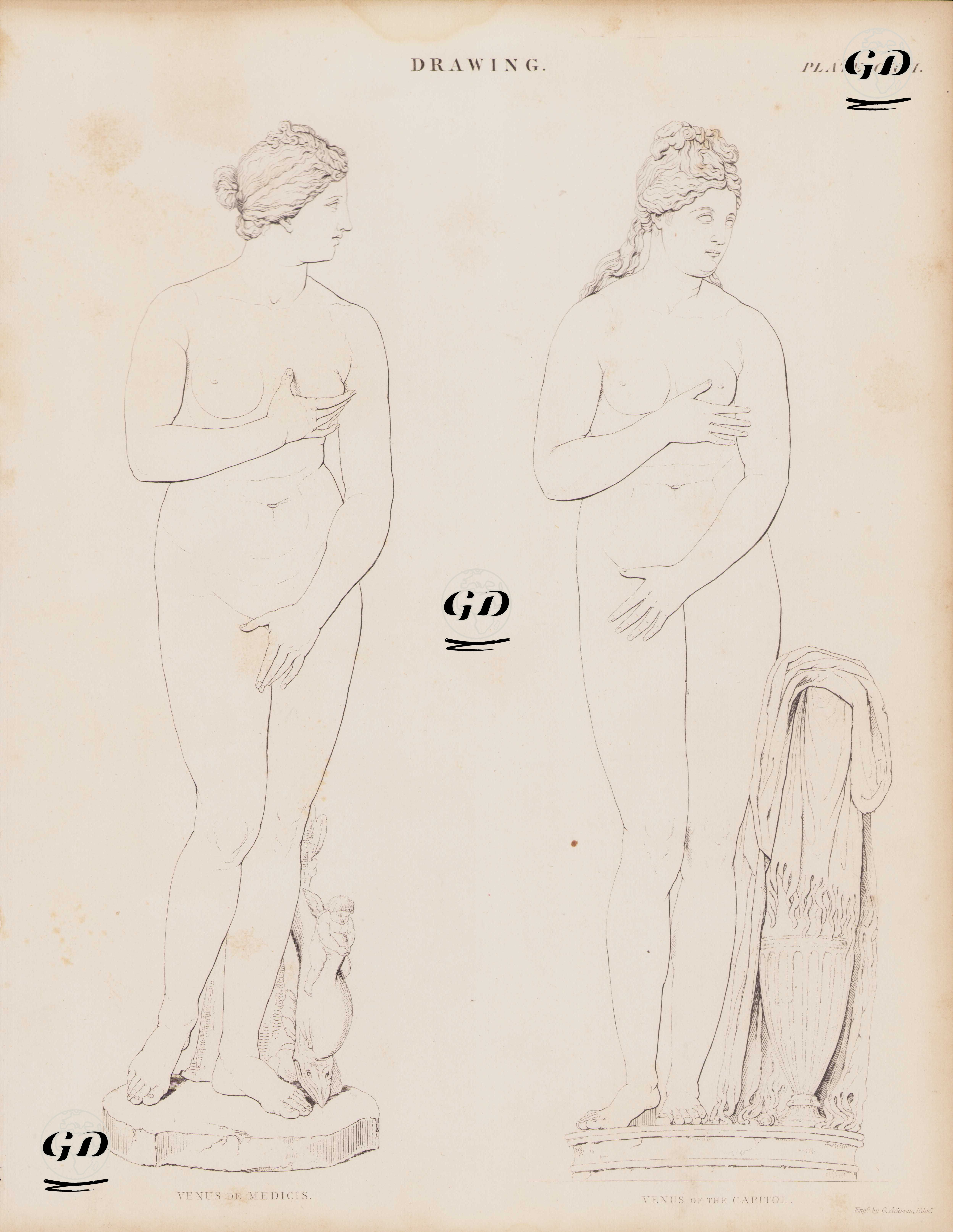  Yunan Aşk Tanrıçası Afrodit'i Tasvir Eden Medici Venüs ile Capitoline Venüs Heykellerinin Çizimi - Andrew Bell (1726-1809) - 1855