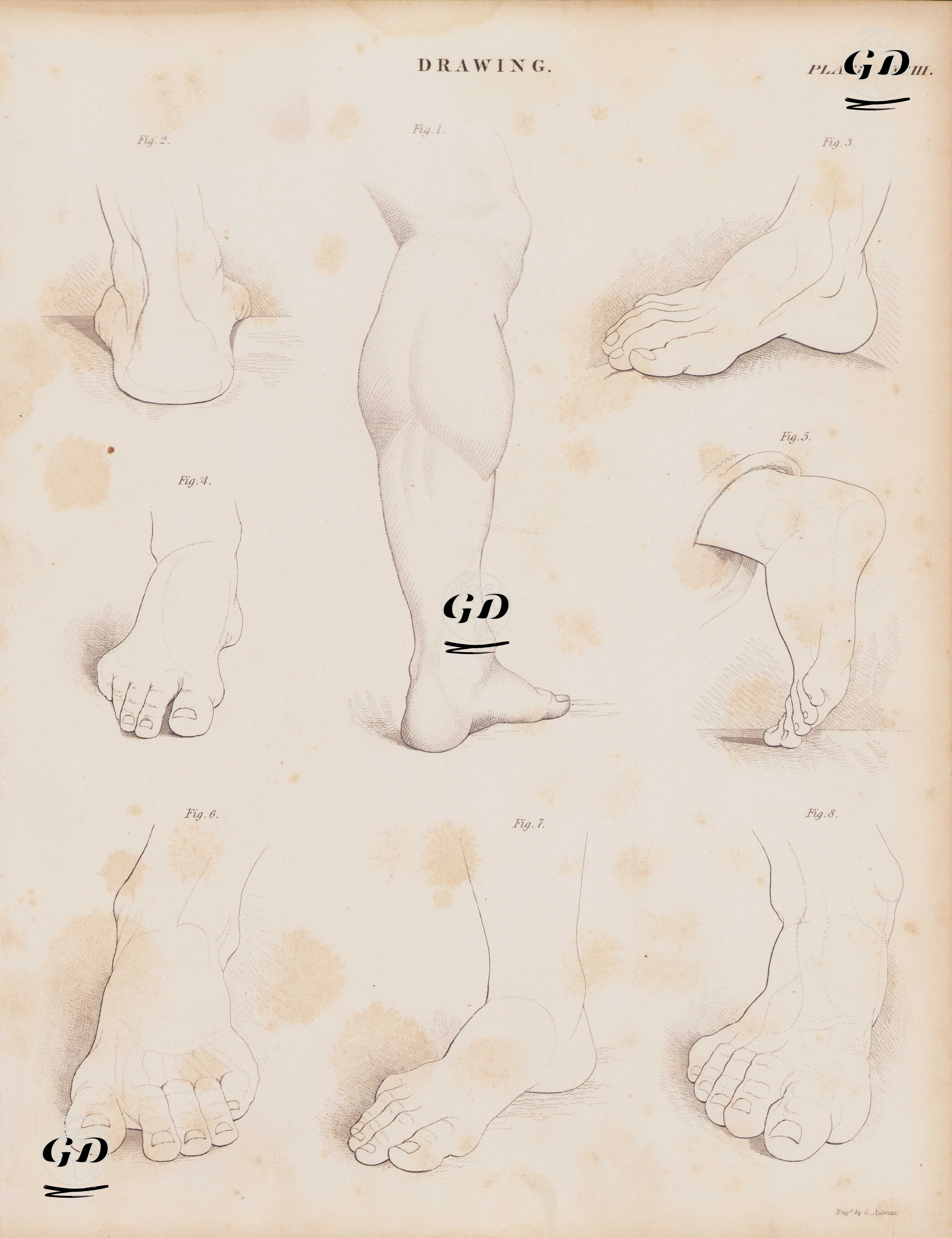 Heykel Ayaklarının Çizimleri - Andrew Bell (1726-1809) - 1855