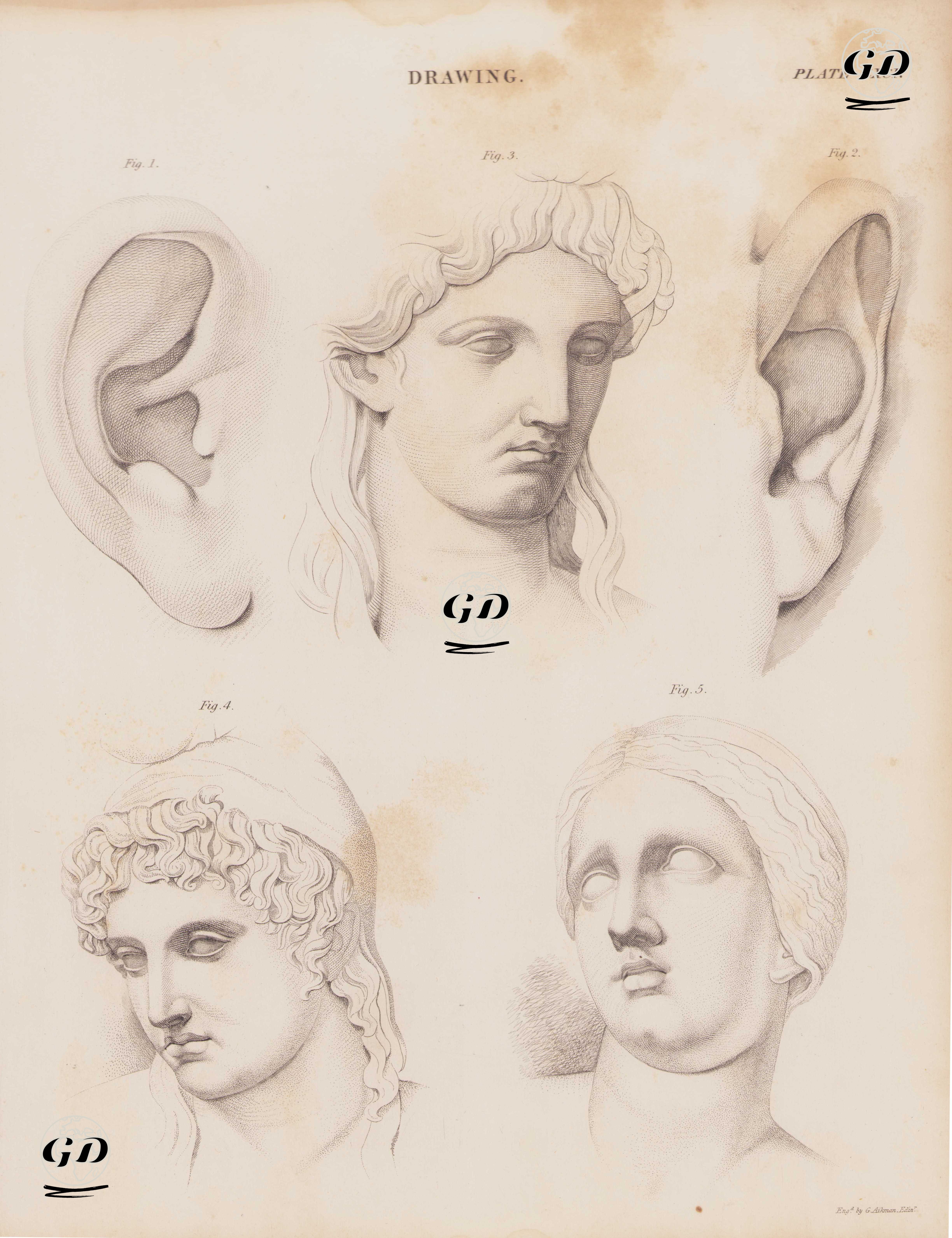 Heykel Yüzlerinin Çizimleri - Andrew Bell (1726-1809) - 1855