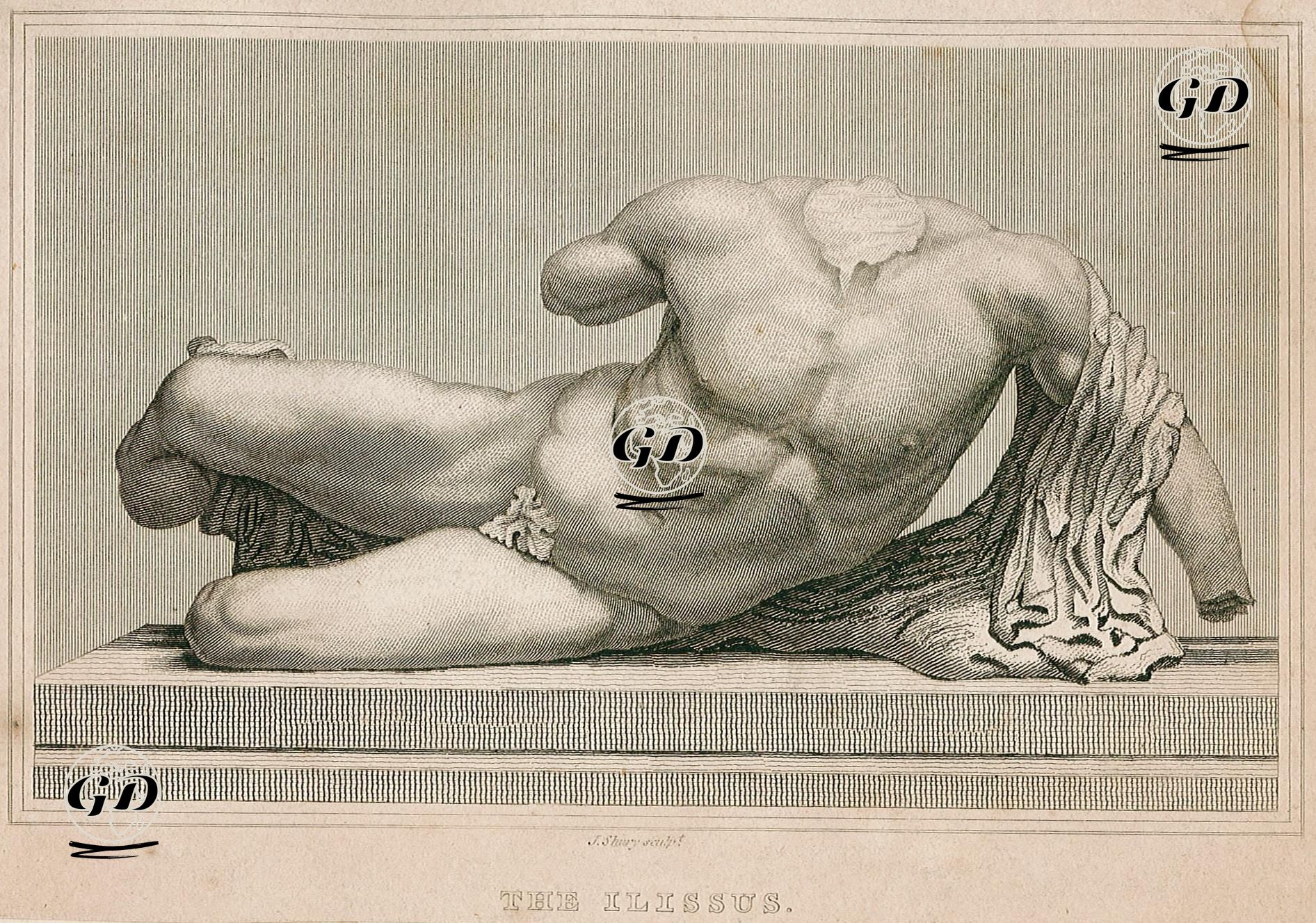 The Ilissus -  - 1800's