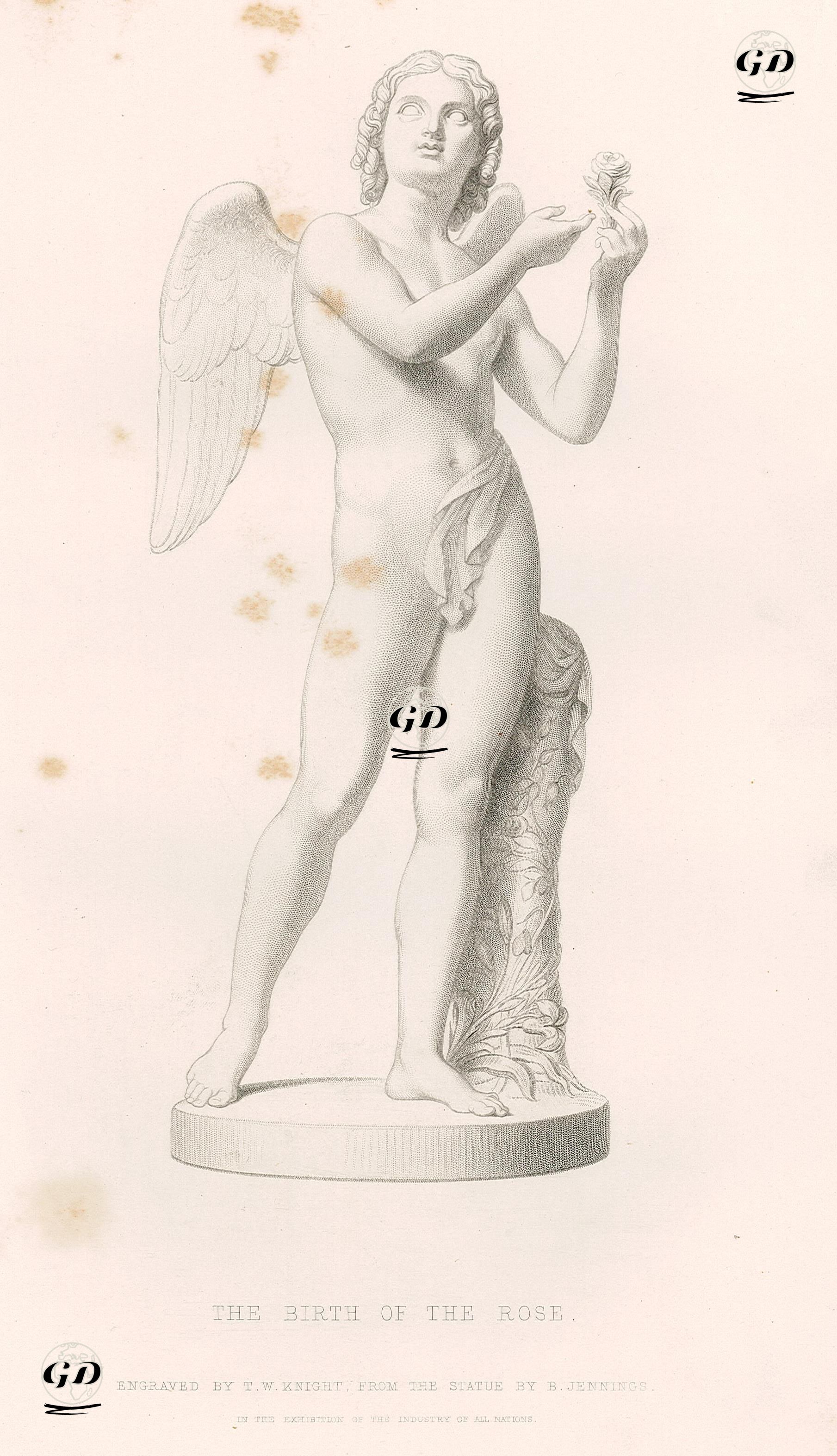 Gülün Doğumu - B.Jennings - 1855