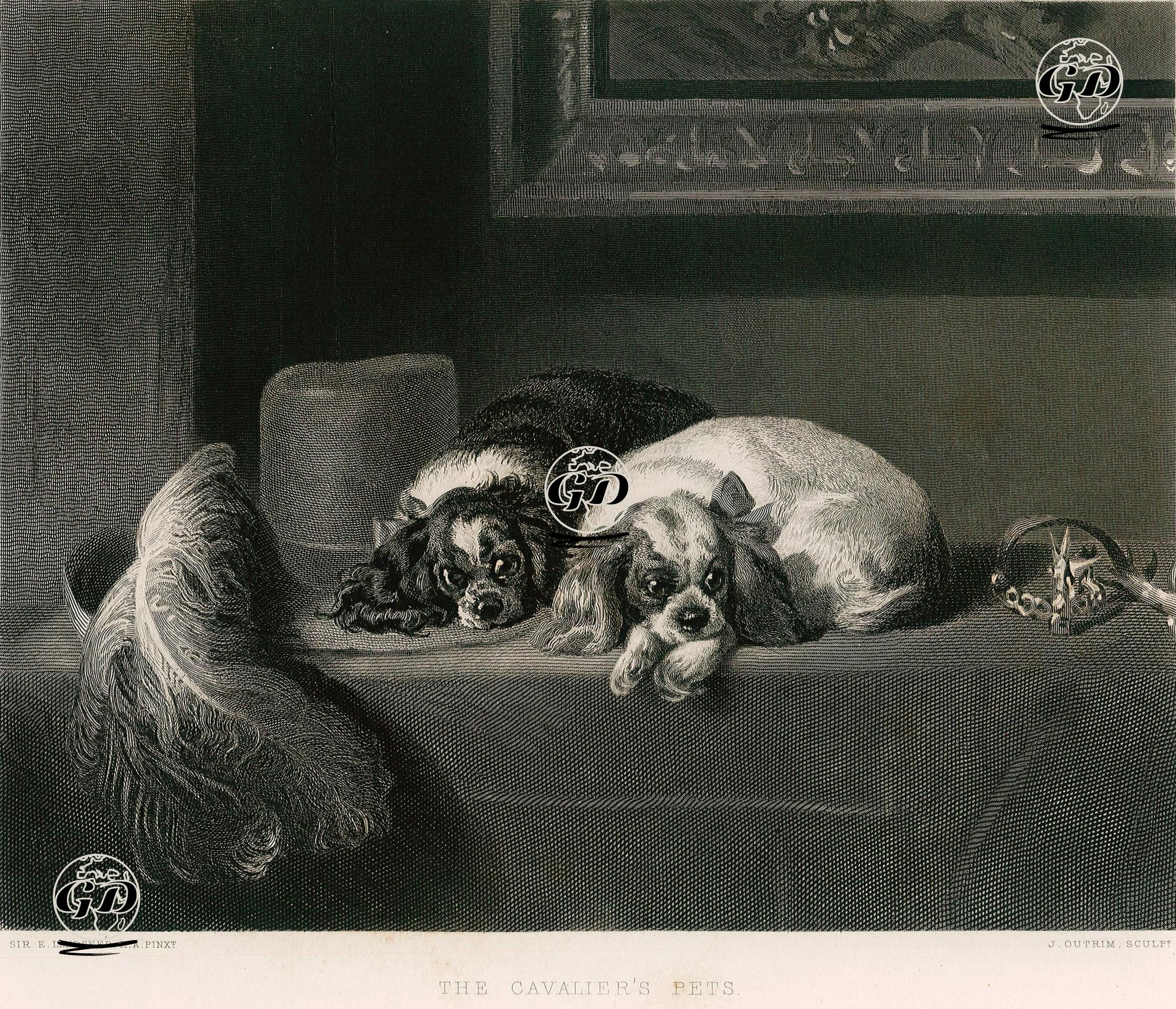 Süvari Köpekleri-King Charles Spaniels - Edwin Henry Landseer (1802-1873) - 1853