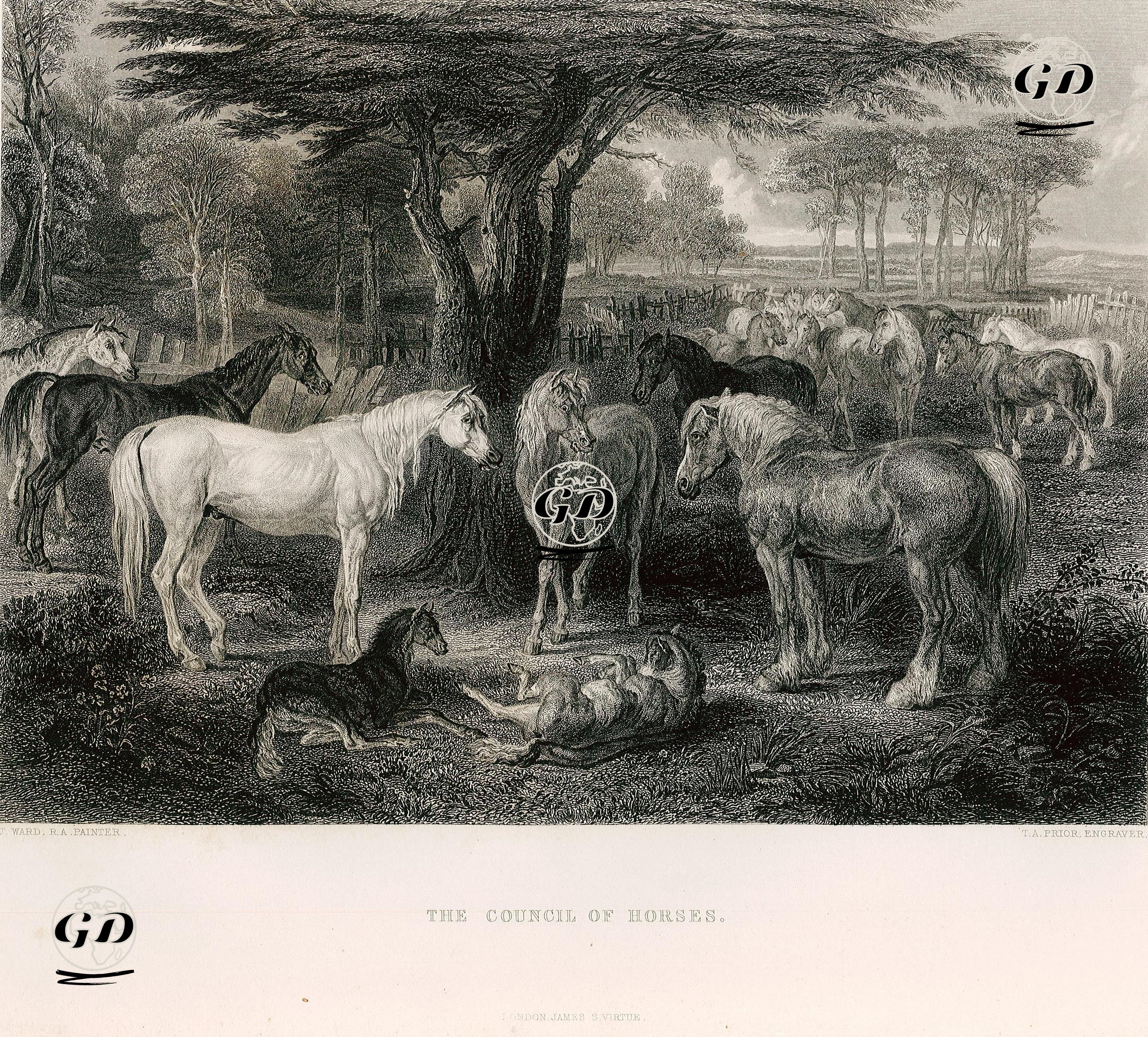 Atların Meclisi - James Ward (1769-1859) - 1852