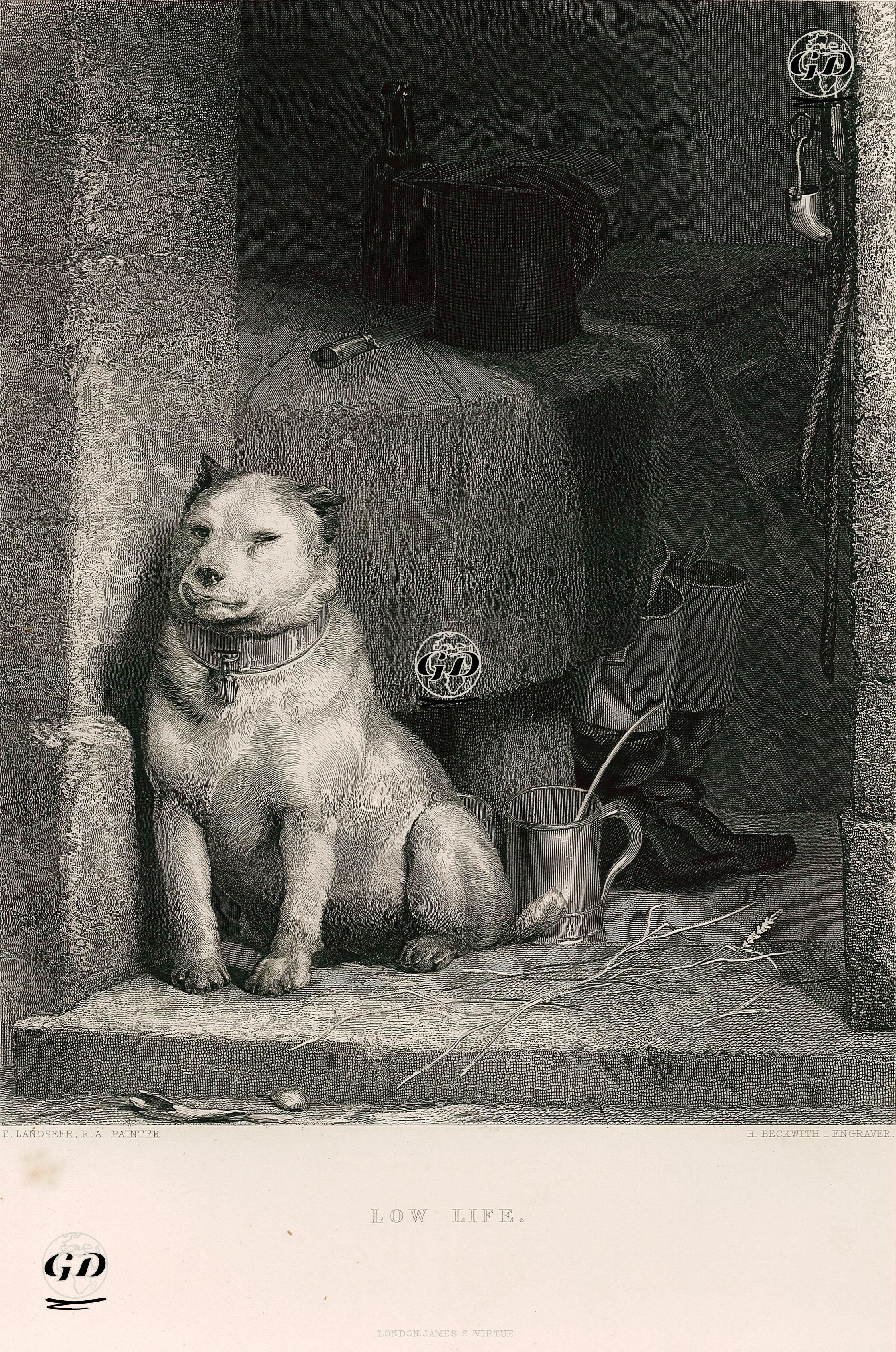 Low Life - Edwin Henry Landseer (1802-1873) - 1855
